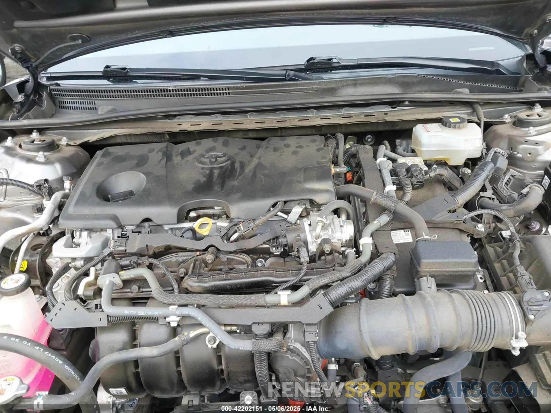 10 Photograph of a damaged car 4T1S31AKXMU558387 TOYOTA CAMRY 2021