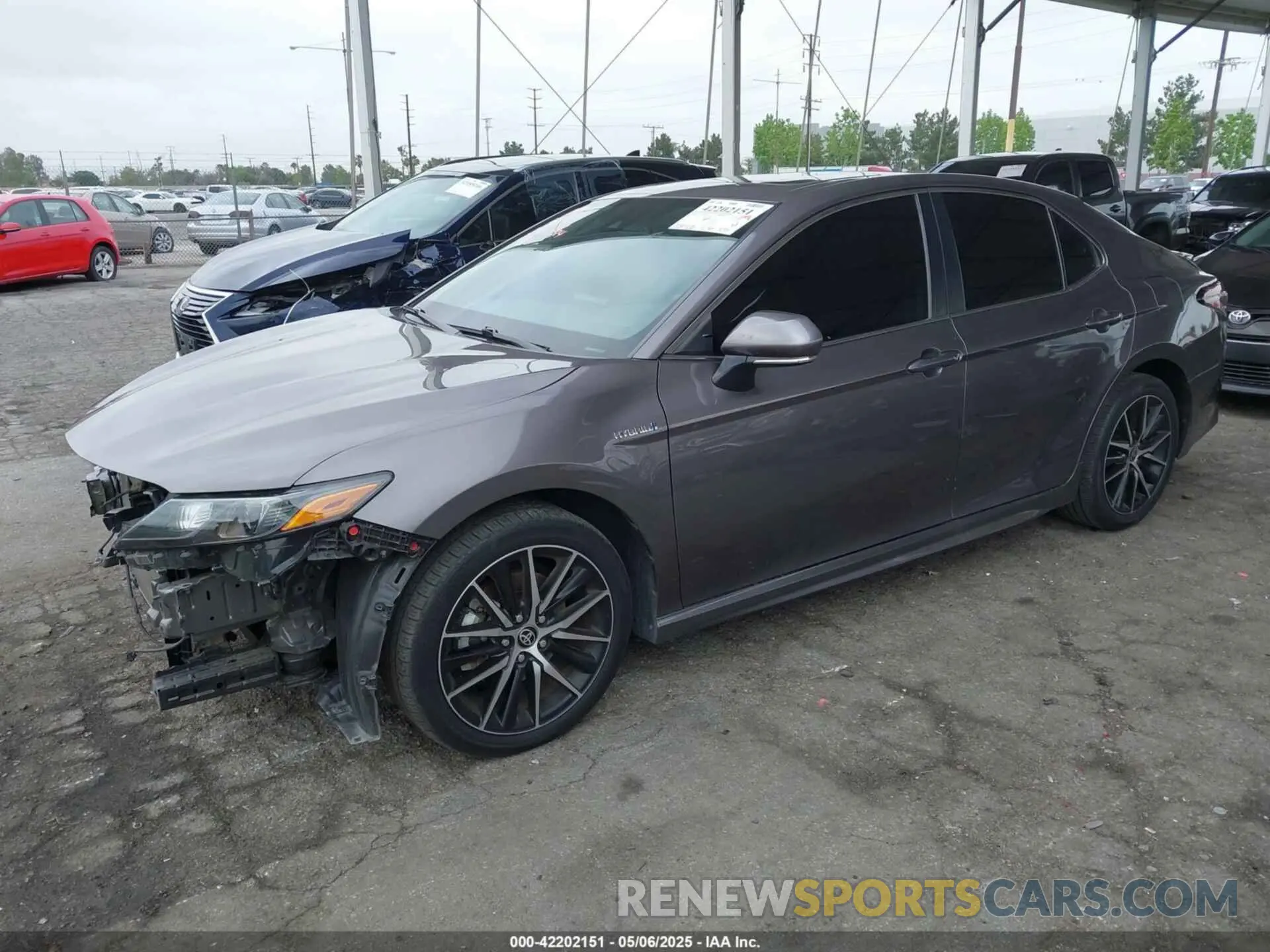 2 Photograph of a damaged car 4T1S31AKXMU558387 TOYOTA CAMRY 2021