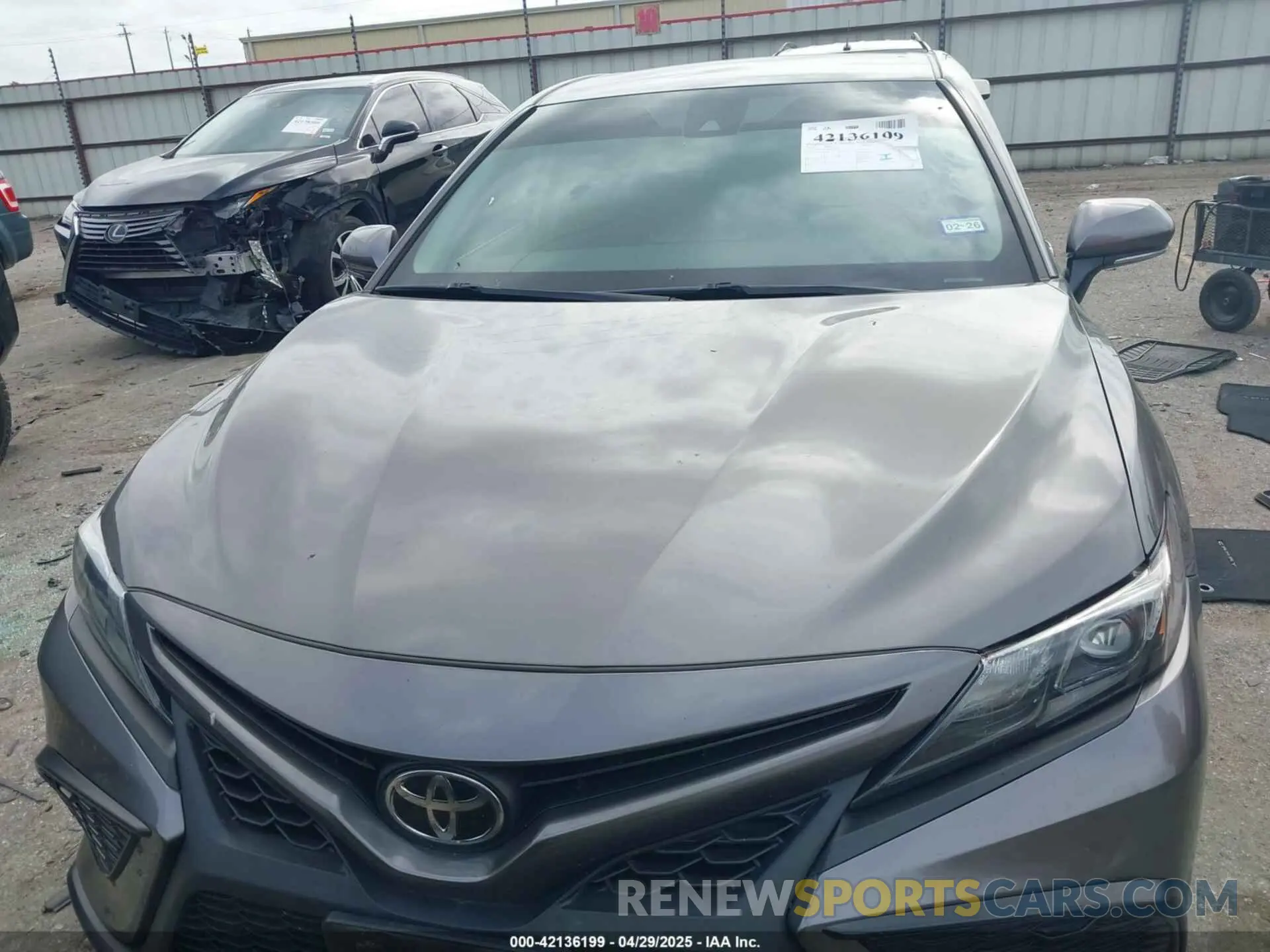 12 Photograph of a damaged car 4T1T11AK1MU521870 TOYOTA CAMRY 2021