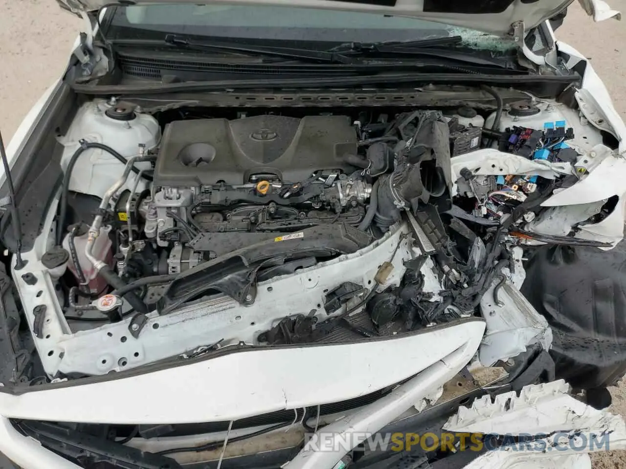 11 Photograph of a damaged car 4T1T11AK2MU493643 TOYOTA CAMRY 2021