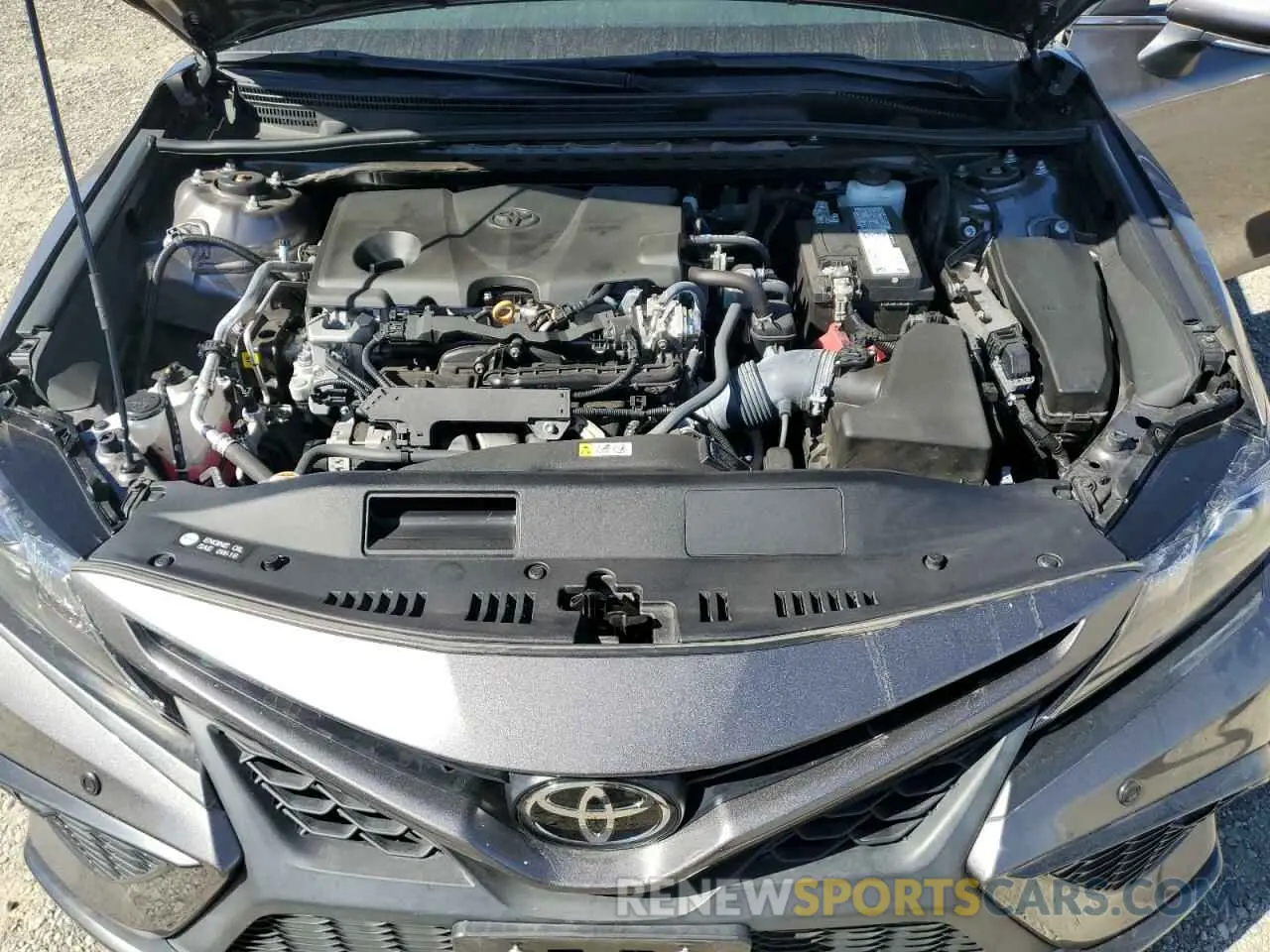 11 Photograph of a damaged car 4T1T11AK6MU439245 TOYOTA CAMRY 2021