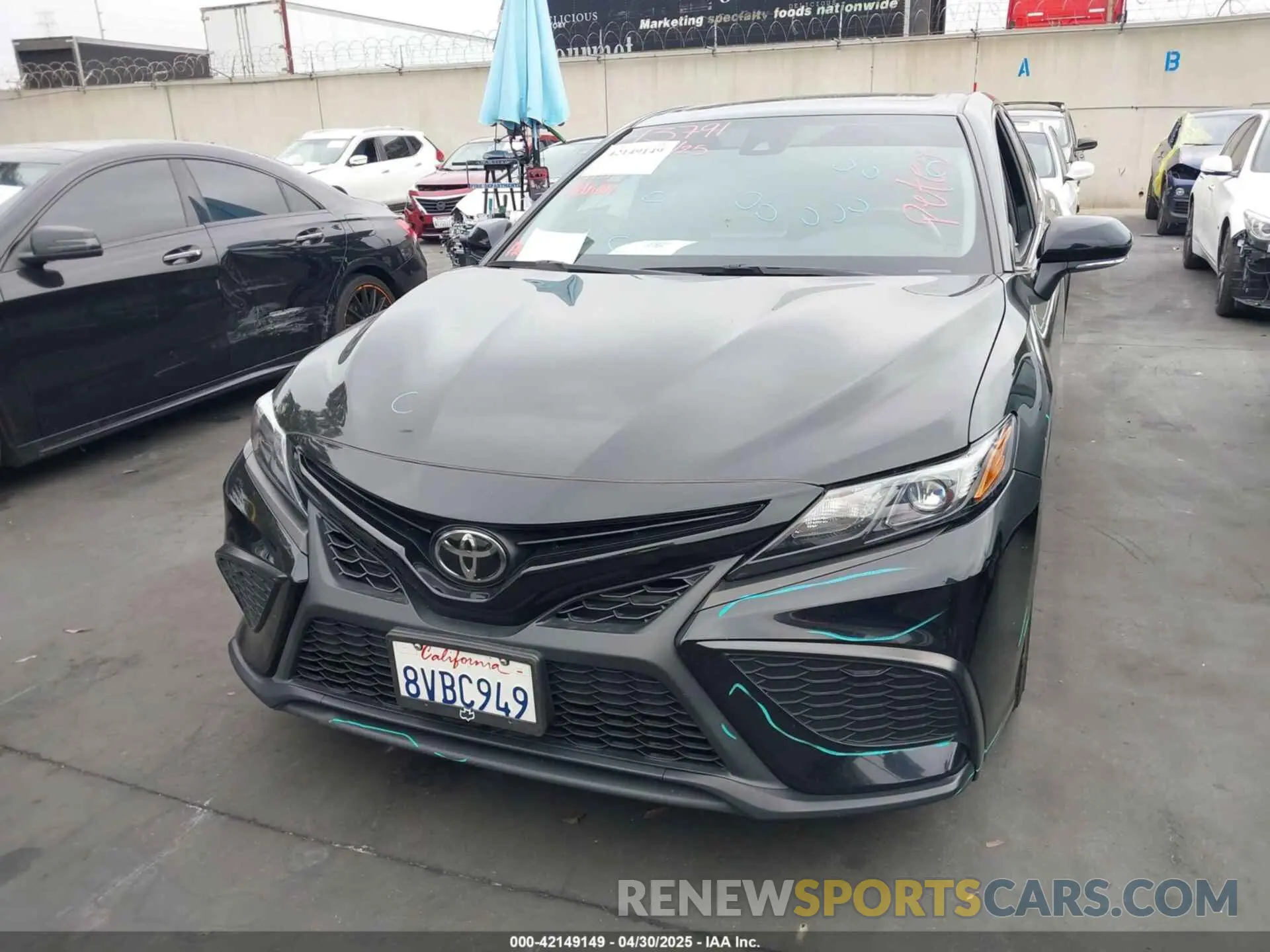 13 Photograph of a damaged car 4T1T11AK7MU546224 TOYOTA CAMRY 2021