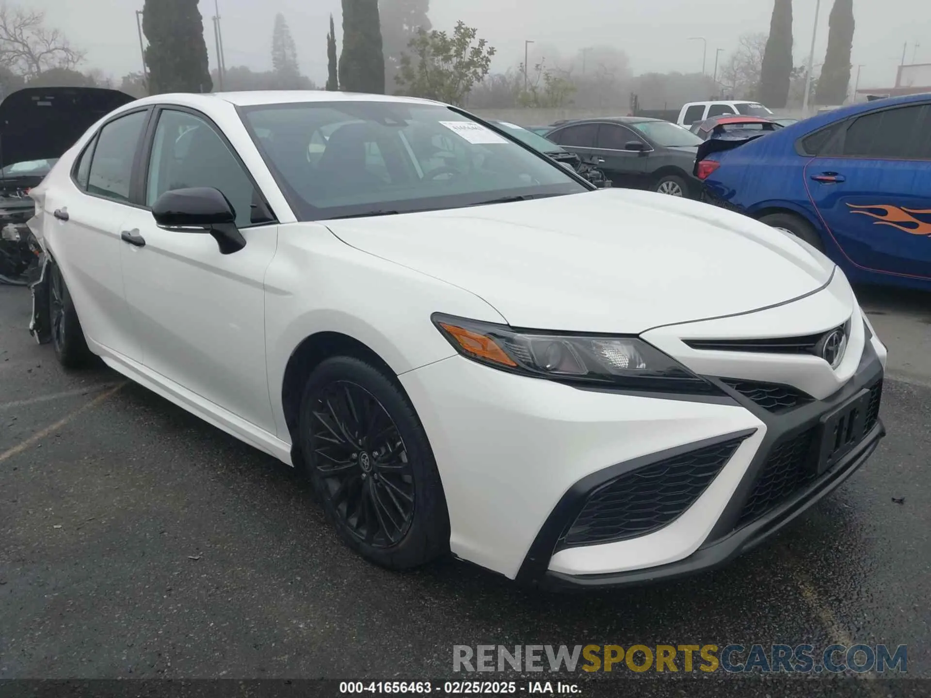 14 Photograph of a damaged car 4T1T11AK8MU443281 TOYOTA CAMRY 2021