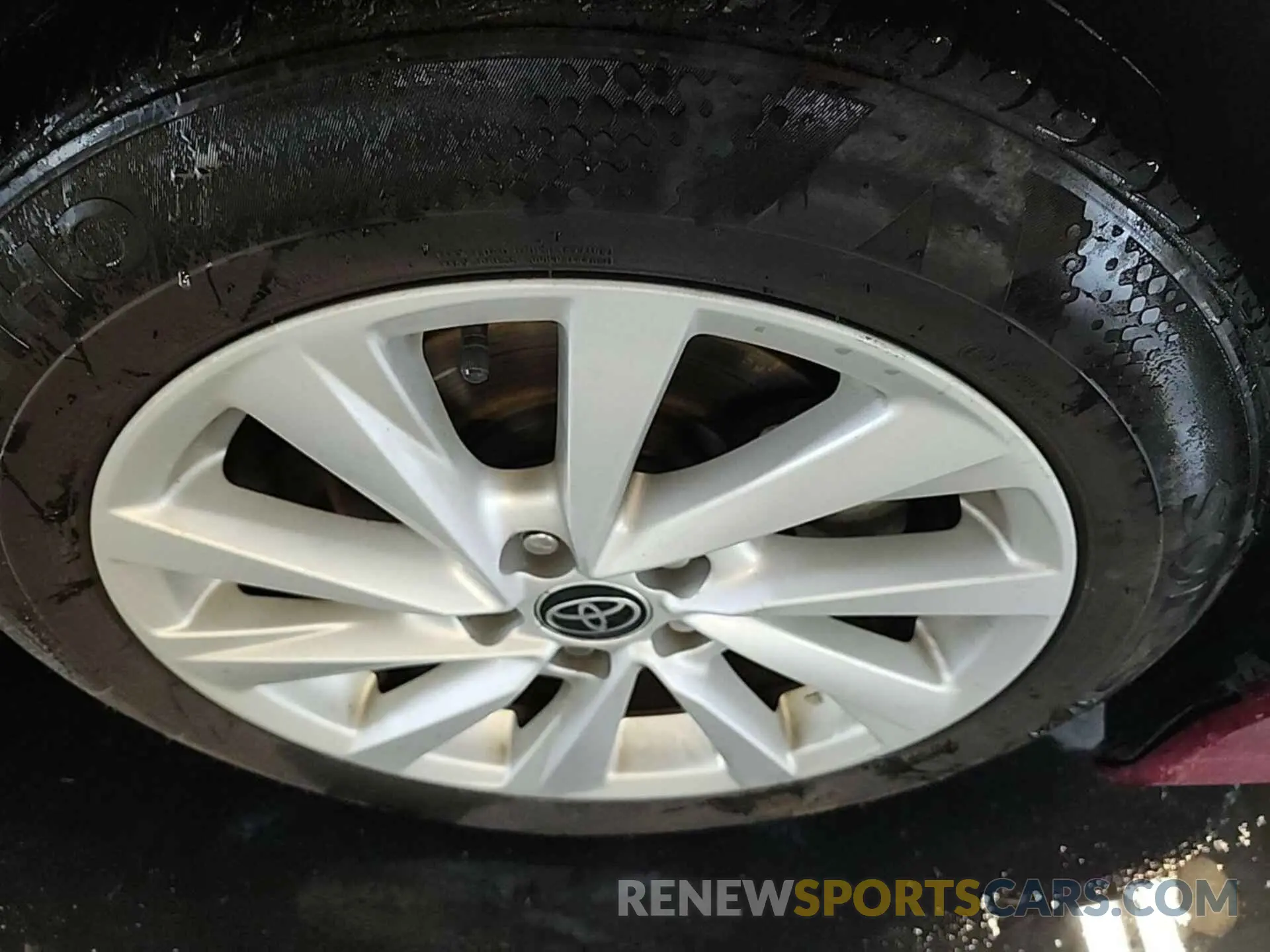 24 Photograph of a damaged car 4T1C11AK0NU646683 TOYOTA CAMRY 2022