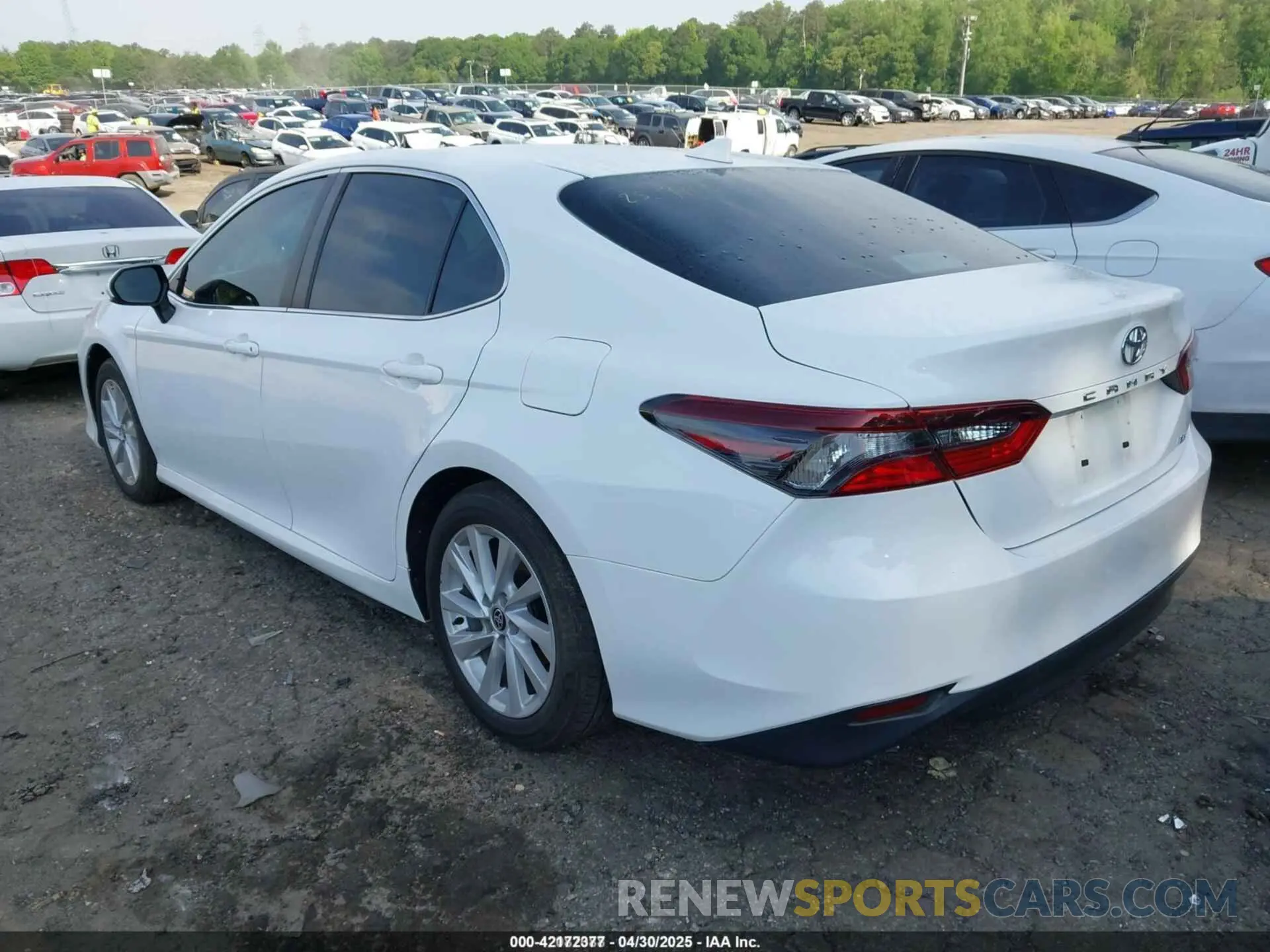 3 Photograph of a damaged car 4T1C11AK6NU674200 TOYOTA CAMRY 2022