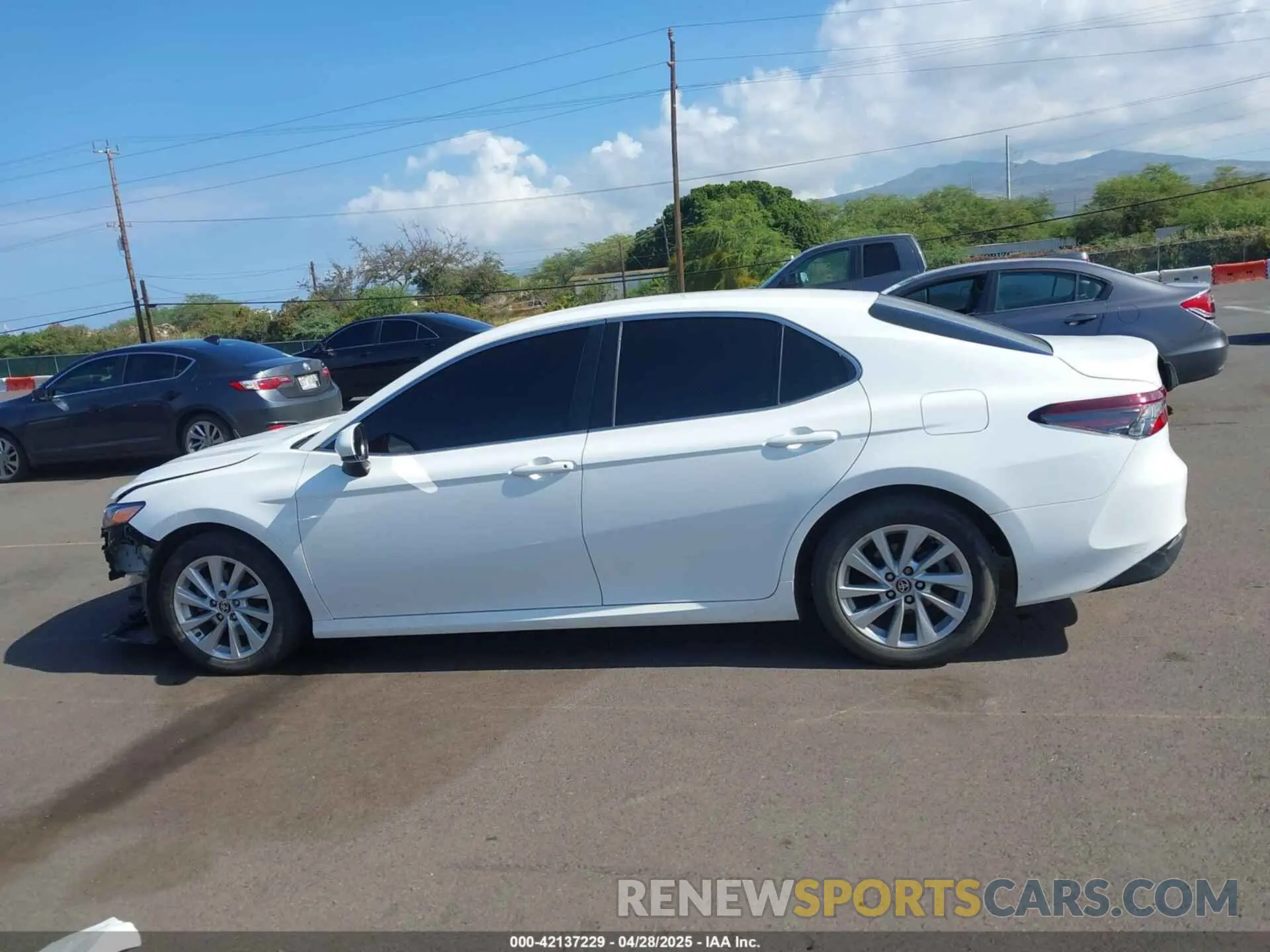15 Photograph of a damaged car 4T1C11AKXNU642169 TOYOTA CAMRY 2022