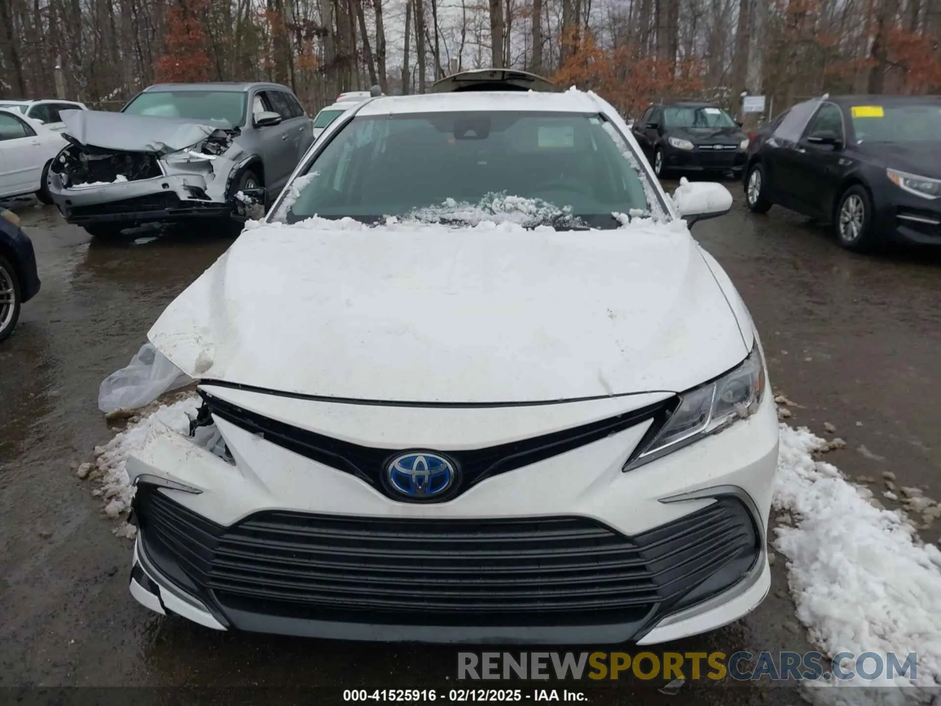 12 Photograph of a damaged car 4T1C31AK5NU039267 TOYOTA CAMRY 2022