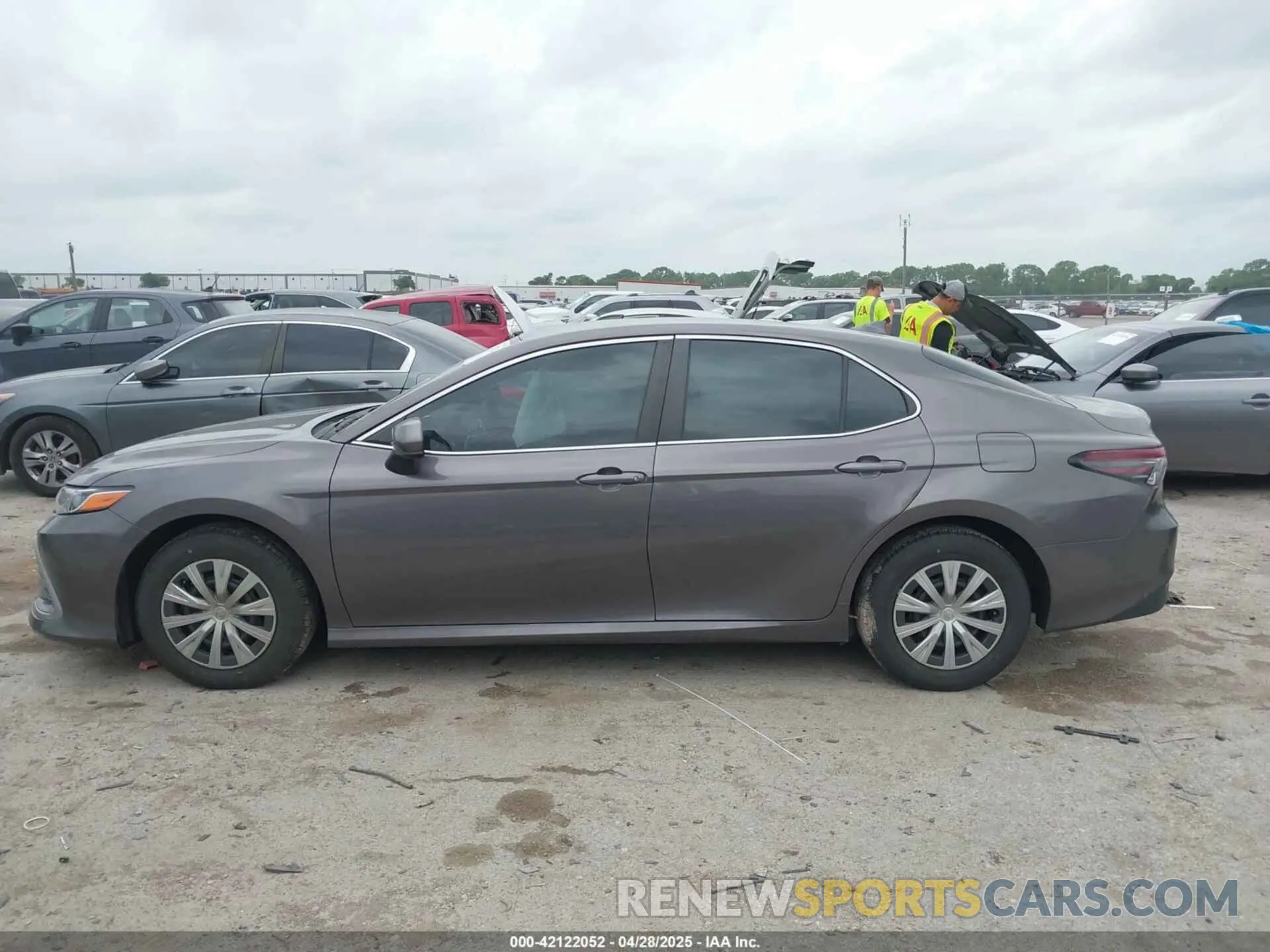 14 Photograph of a damaged car 4T1C31AK6NU591599 TOYOTA CAMRY 2022