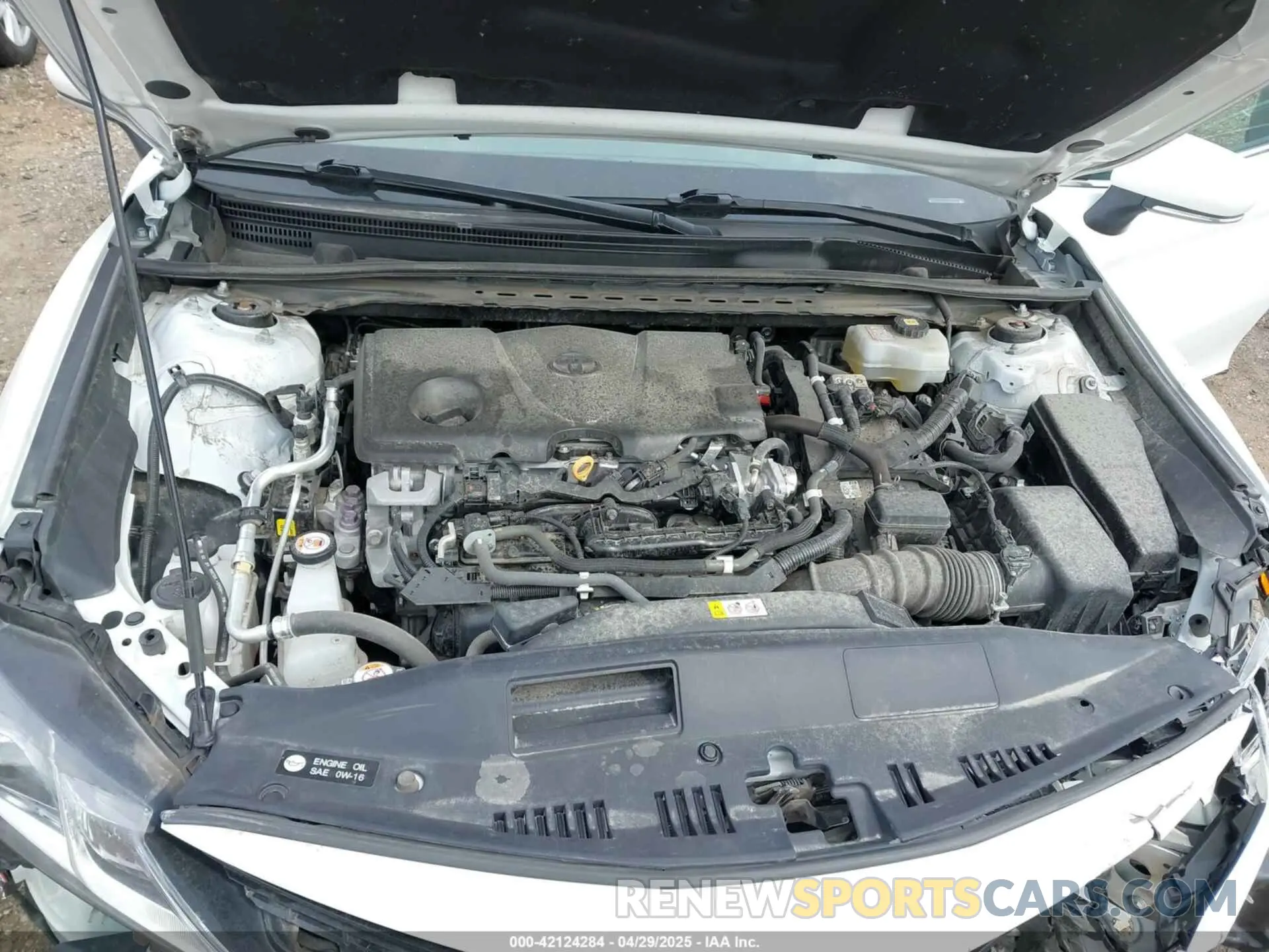 10 Photograph of a damaged car 4T1C31AK9NU572495 TOYOTA CAMRY 2022