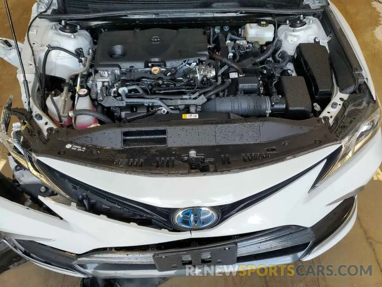 11 Photograph of a damaged car 4T1C31AKXNU044352 TOYOTA CAMRY 2022