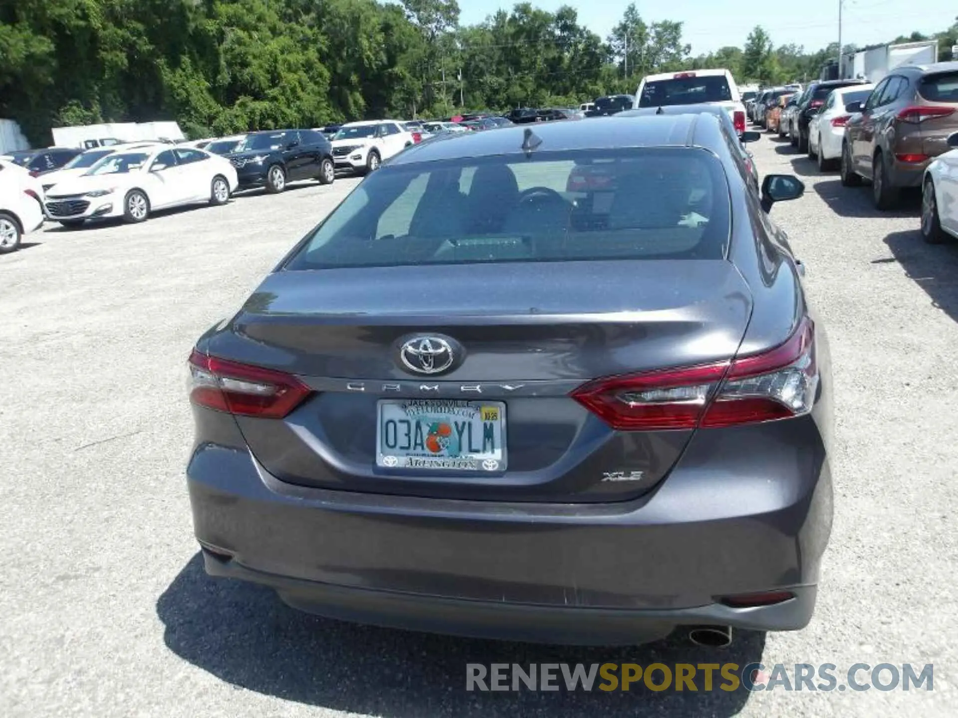 4 Photograph of a damaged car 4T1F11AK0NU020452 TOYOTA CAMRY 2022
