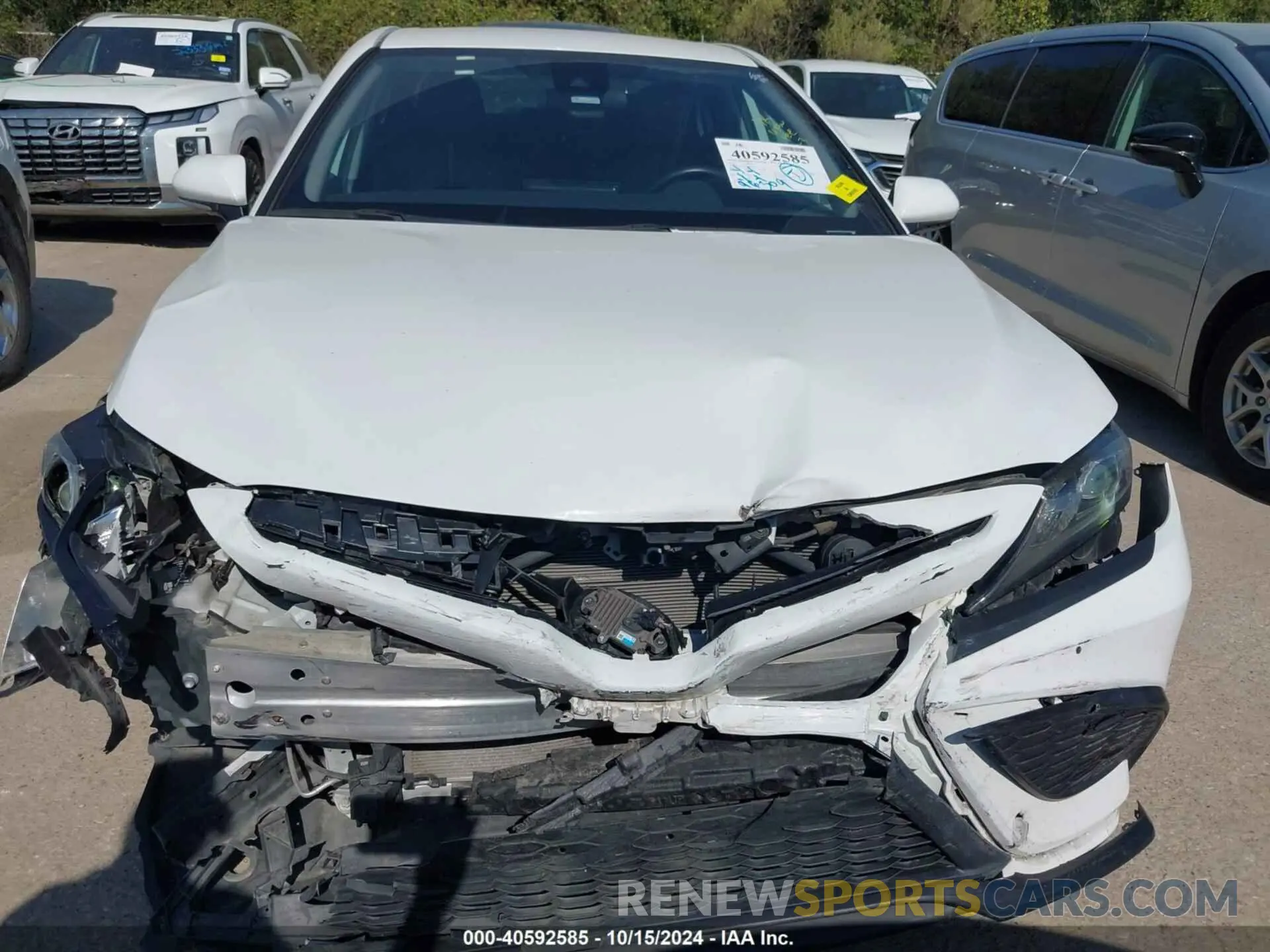 12 Photograph of a damaged car 4T1G11AK7NU631020 TOYOTA CAMRY 2022