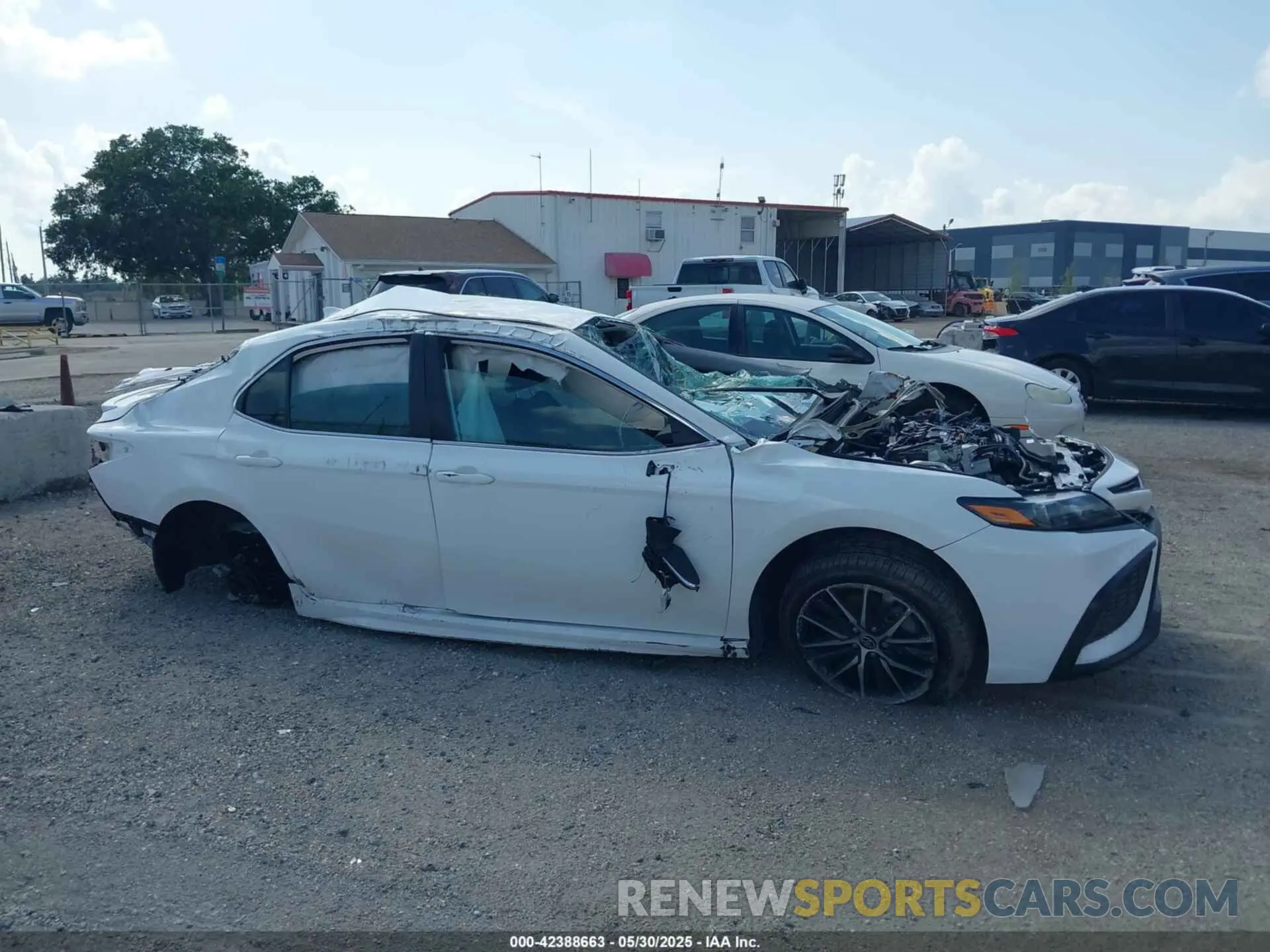 12 Photograph of a damaged car 4T1G11AK8NU621631 TOYOTA CAMRY 2022