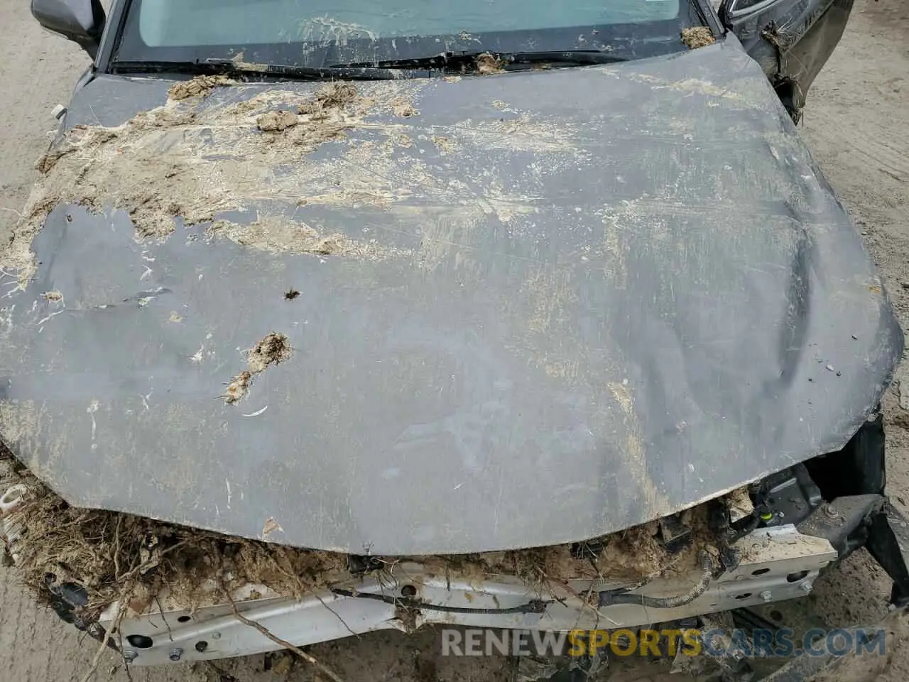 11 Photograph of a damaged car 4T1G11AKXNU001797 TOYOTA CAMRY 2022