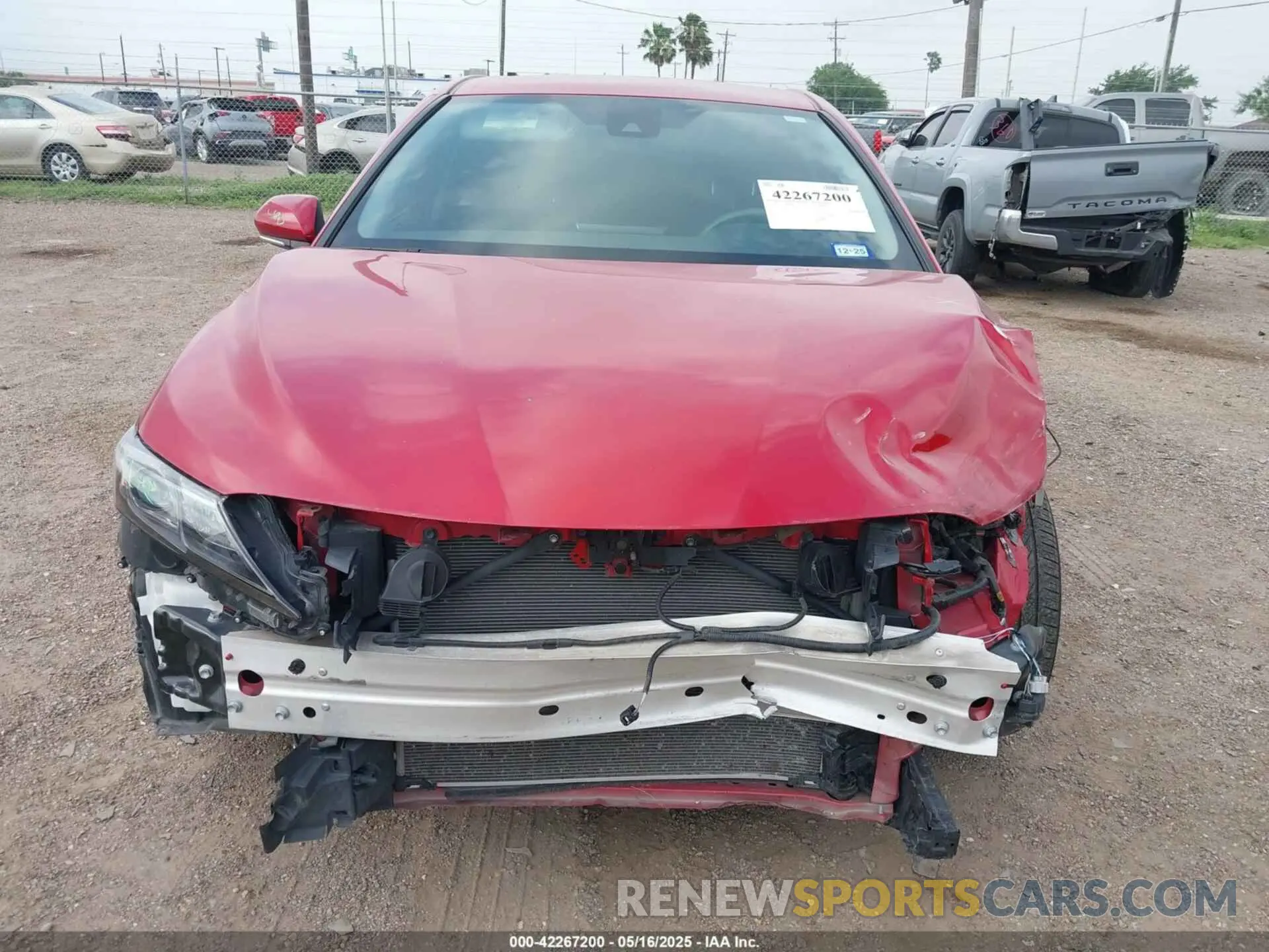 12 Photograph of a damaged car 4T1G11AKXNU068190 TOYOTA CAMRY 2022