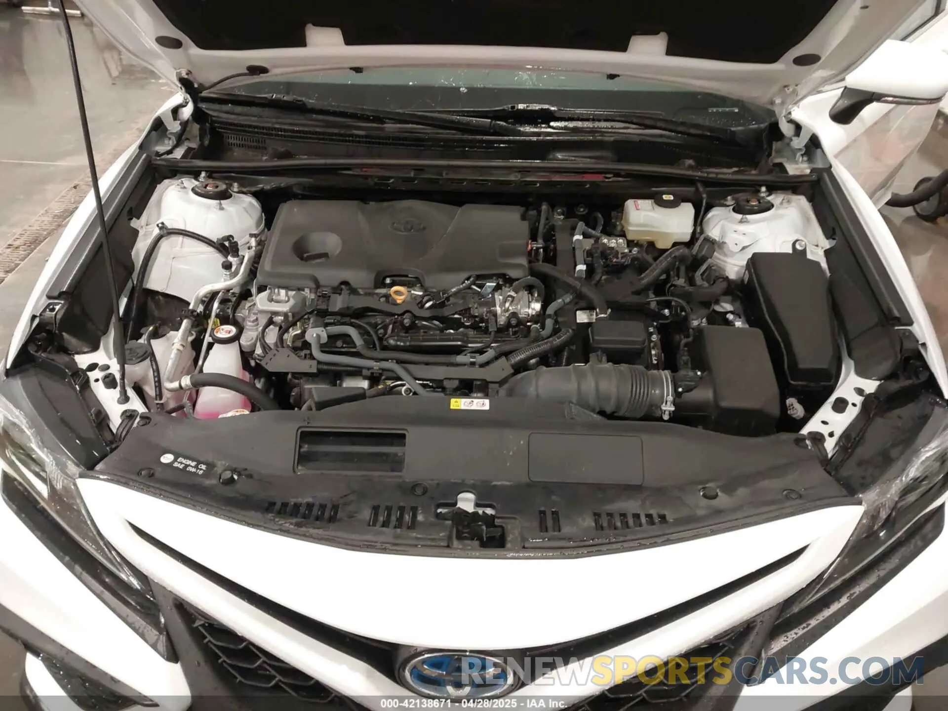 10 Photograph of a damaged car 4T1G31AK0NU597691 TOYOTA CAMRY 2022