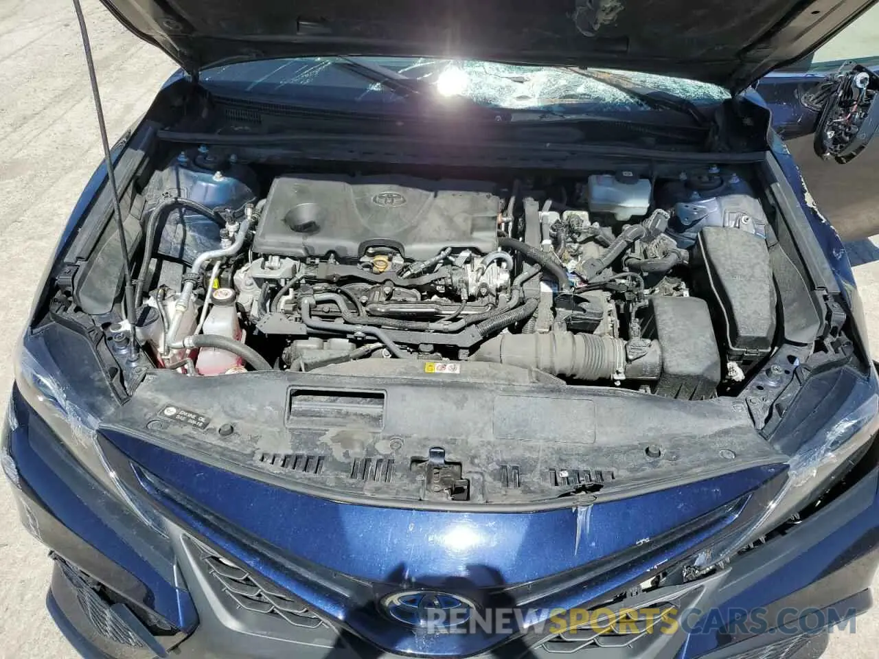 12 Photograph of a damaged car 4T1G31AK4NU599590 TOYOTA CAMRY 2022