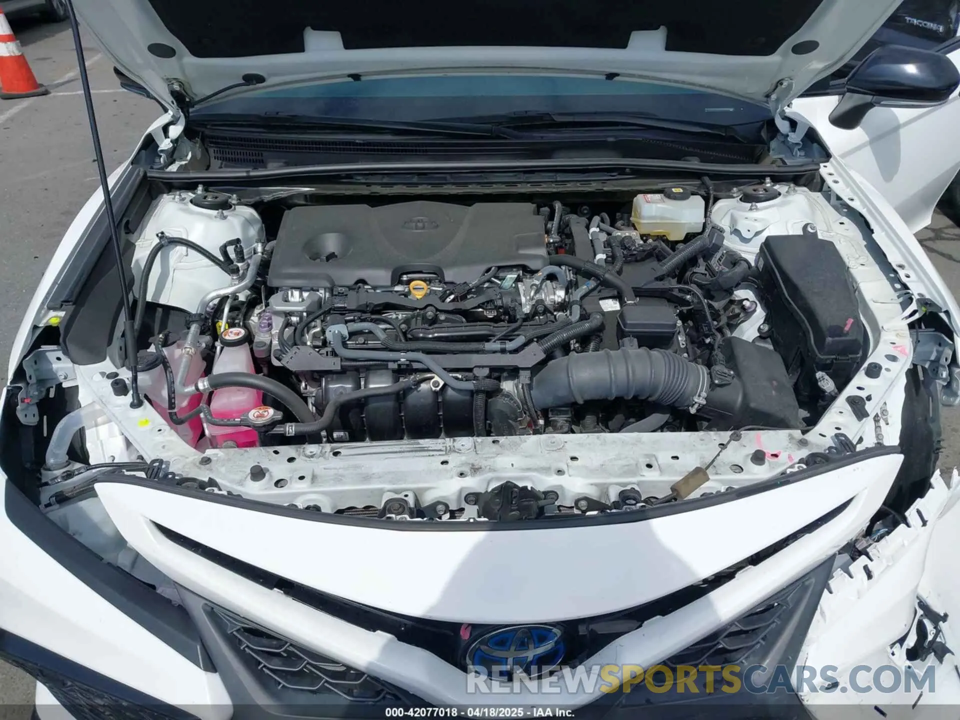 10 Photograph of a damaged car 4T1G31AK5NU042347 TOYOTA CAMRY 2022
