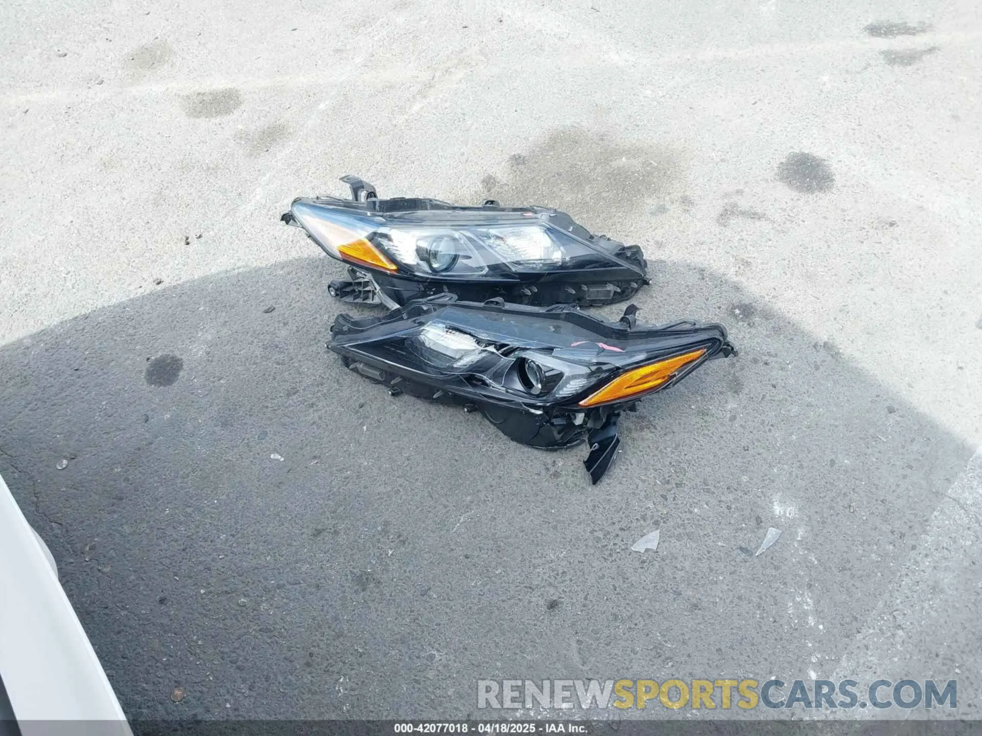 12 Photograph of a damaged car 4T1G31AK5NU042347 TOYOTA CAMRY 2022