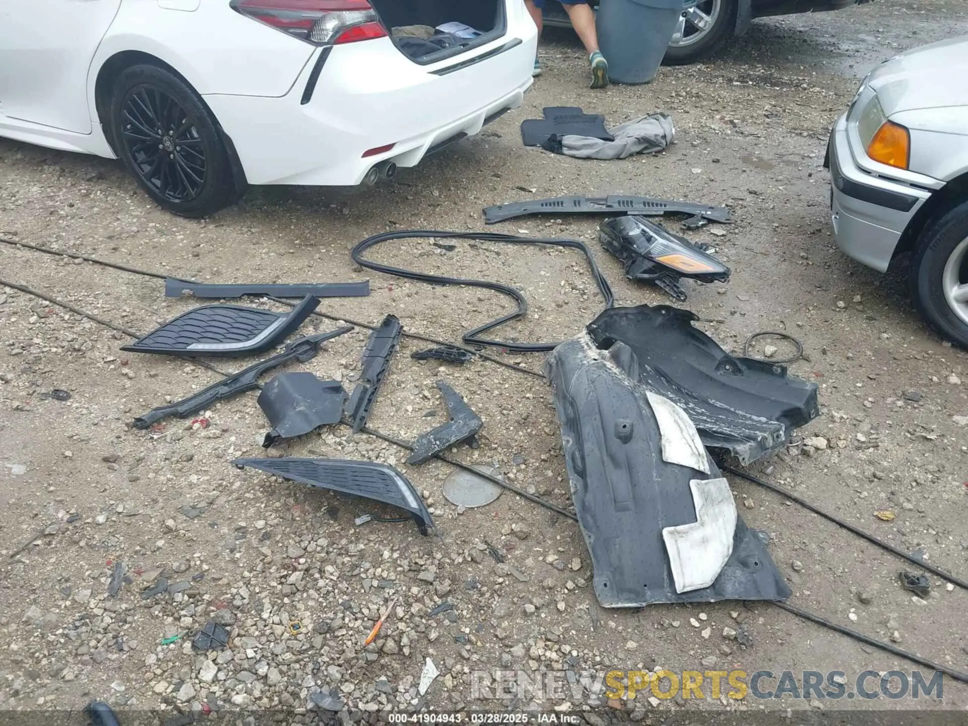 19 Photograph of a damaged car 4T1G31AK5NU044700 TOYOTA CAMRY 2022