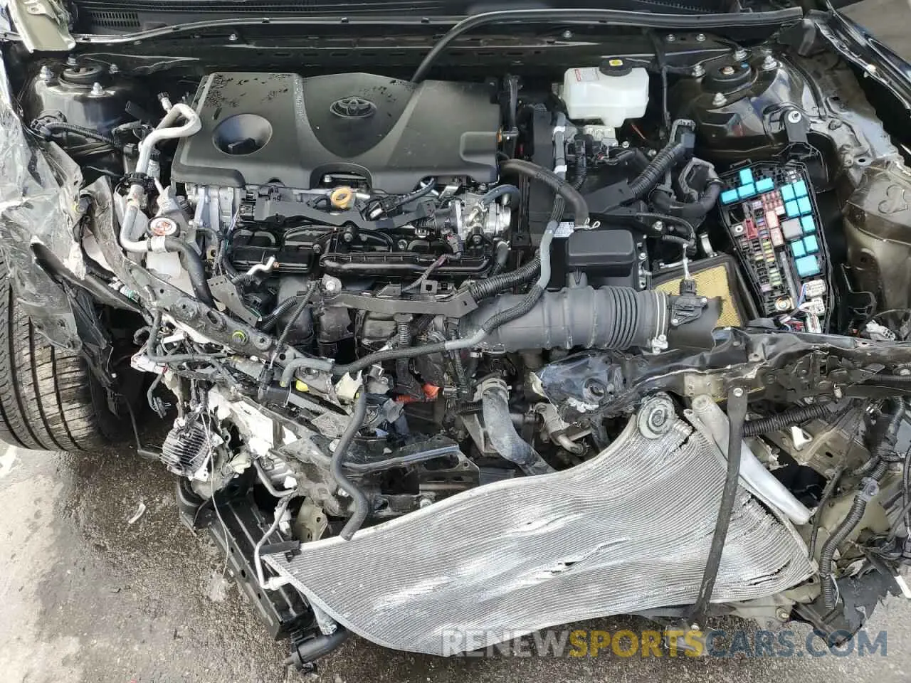11 Photograph of a damaged car 4T1G31AK5NU584046 TOYOTA CAMRY 2022