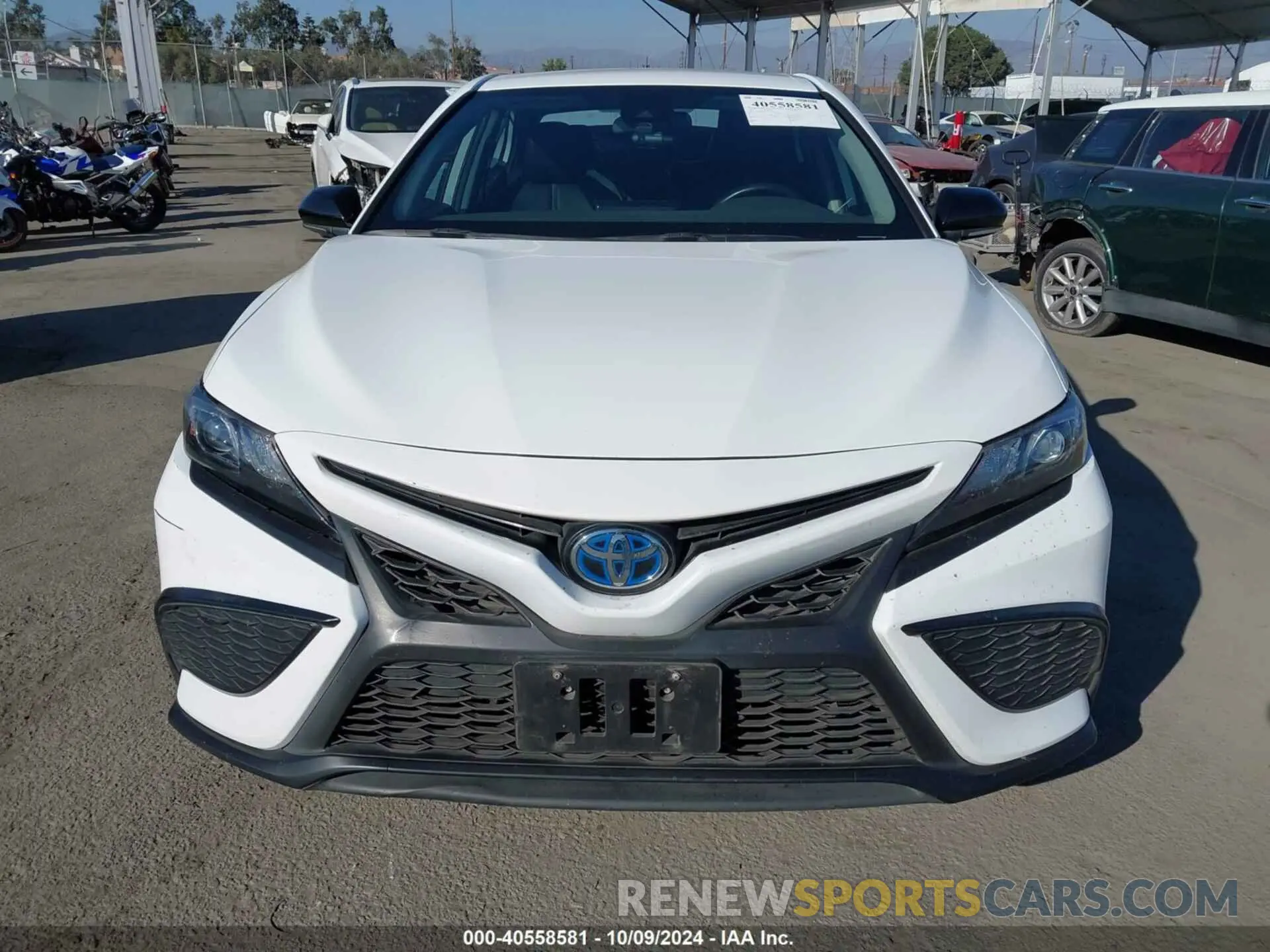 12 Photograph of a damaged car 4T1G31AK7NU033505 TOYOTA CAMRY 2022
