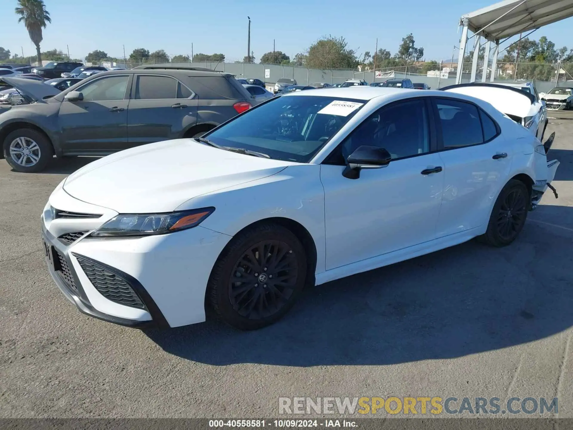 2 Photograph of a damaged car 4T1G31AK7NU033505 TOYOTA CAMRY 2022