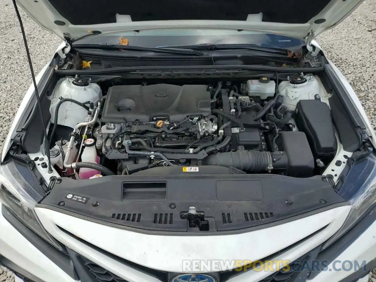 11 Photograph of a damaged car 4T1G31AKXNU036043 TOYOTA CAMRY 2022