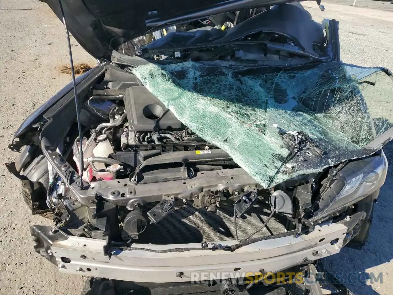 12 Photograph of a damaged car 4T1K31AKXNU595764 TOYOTA CAMRY 2022