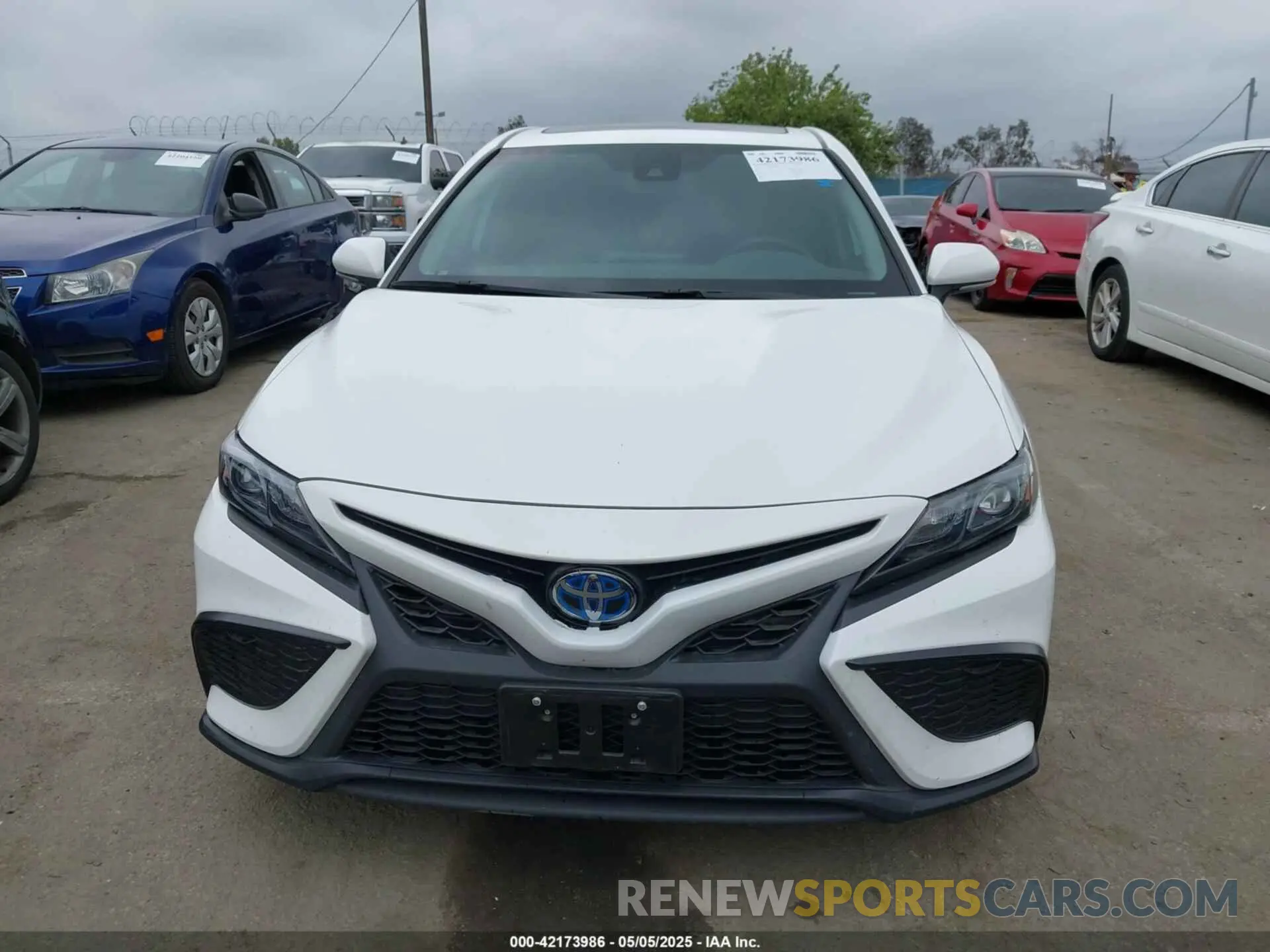 13 Photograph of a damaged car 4T1S31AK9NU587994 TOYOTA CAMRY 2022