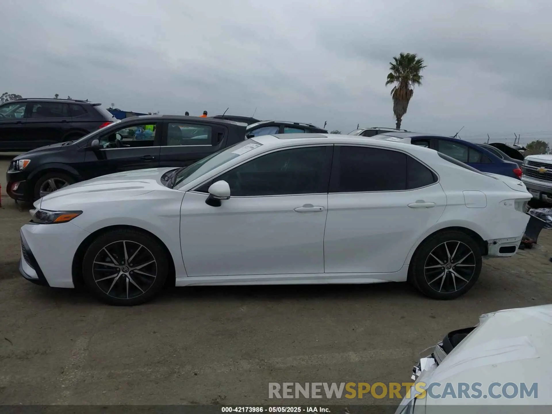 15 Photograph of a damaged car 4T1S31AK9NU587994 TOYOTA CAMRY 2022