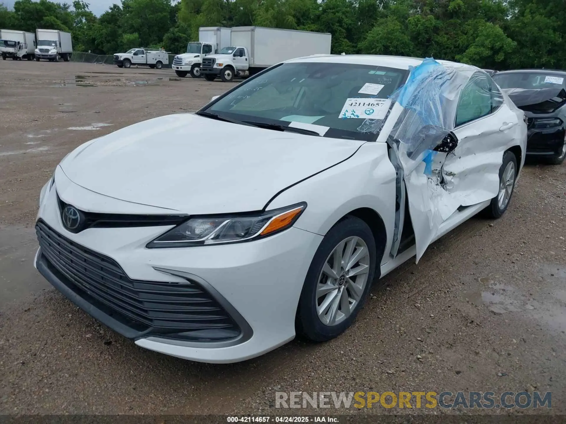 2 Photograph of a damaged car 4T1C11AK3PU836433 TOYOTA CAMRY 2023