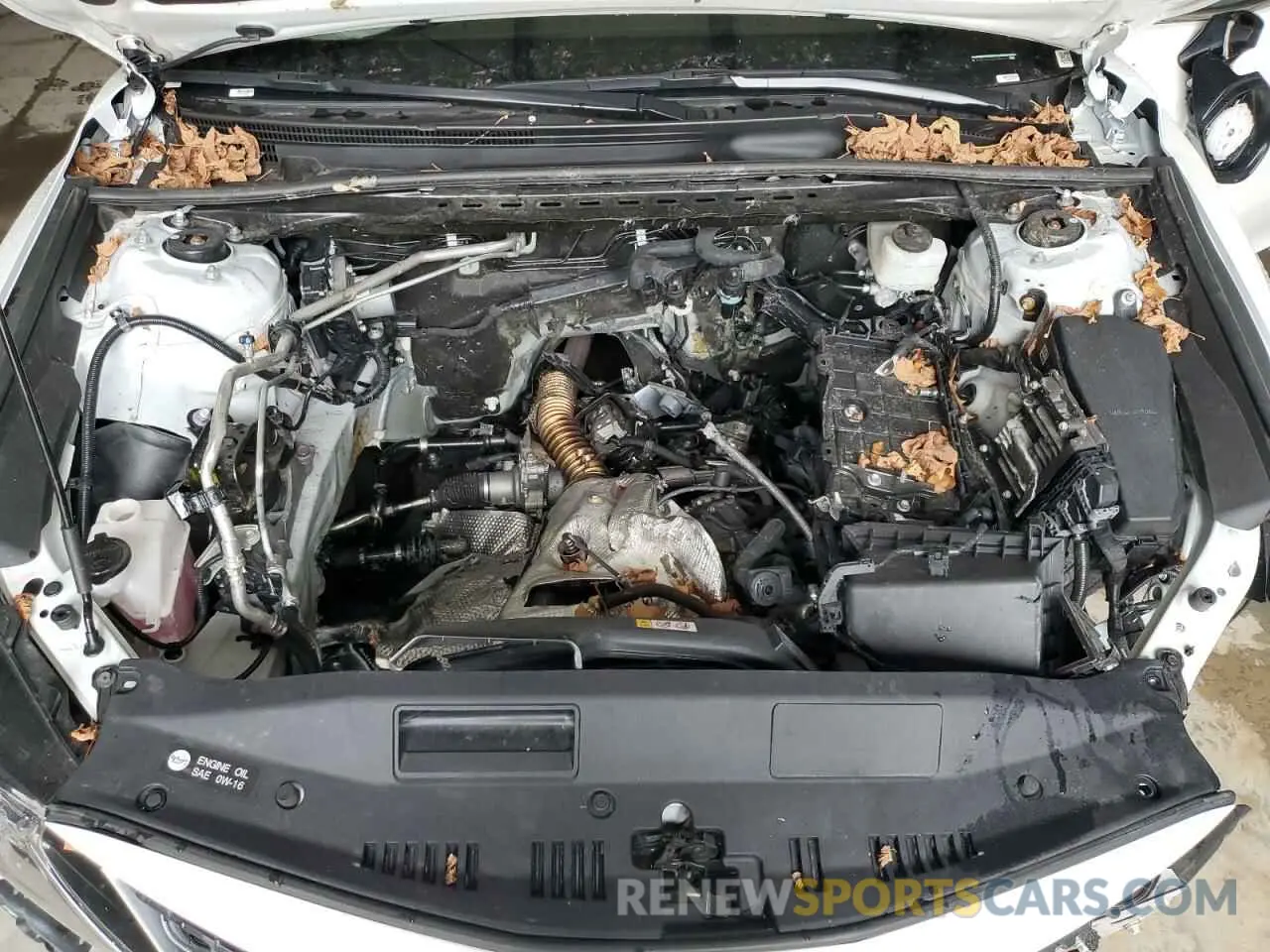 11 Photograph of a damaged car 4T1C11AK4PU835372 TOYOTA CAMRY 2023