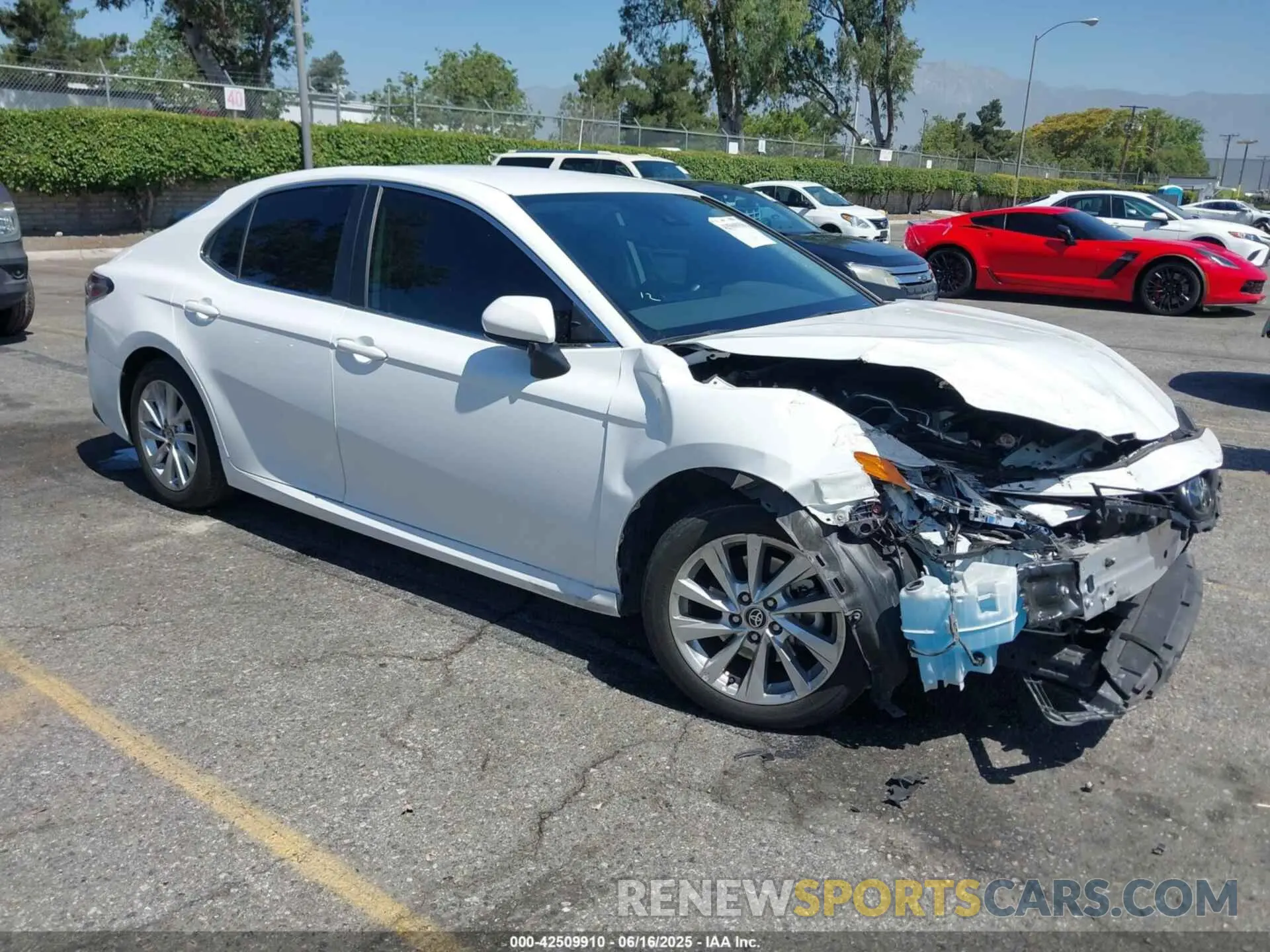 1 Photograph of a damaged car 4T1C11AK6PU783369 TOYOTA CAMRY 2023
