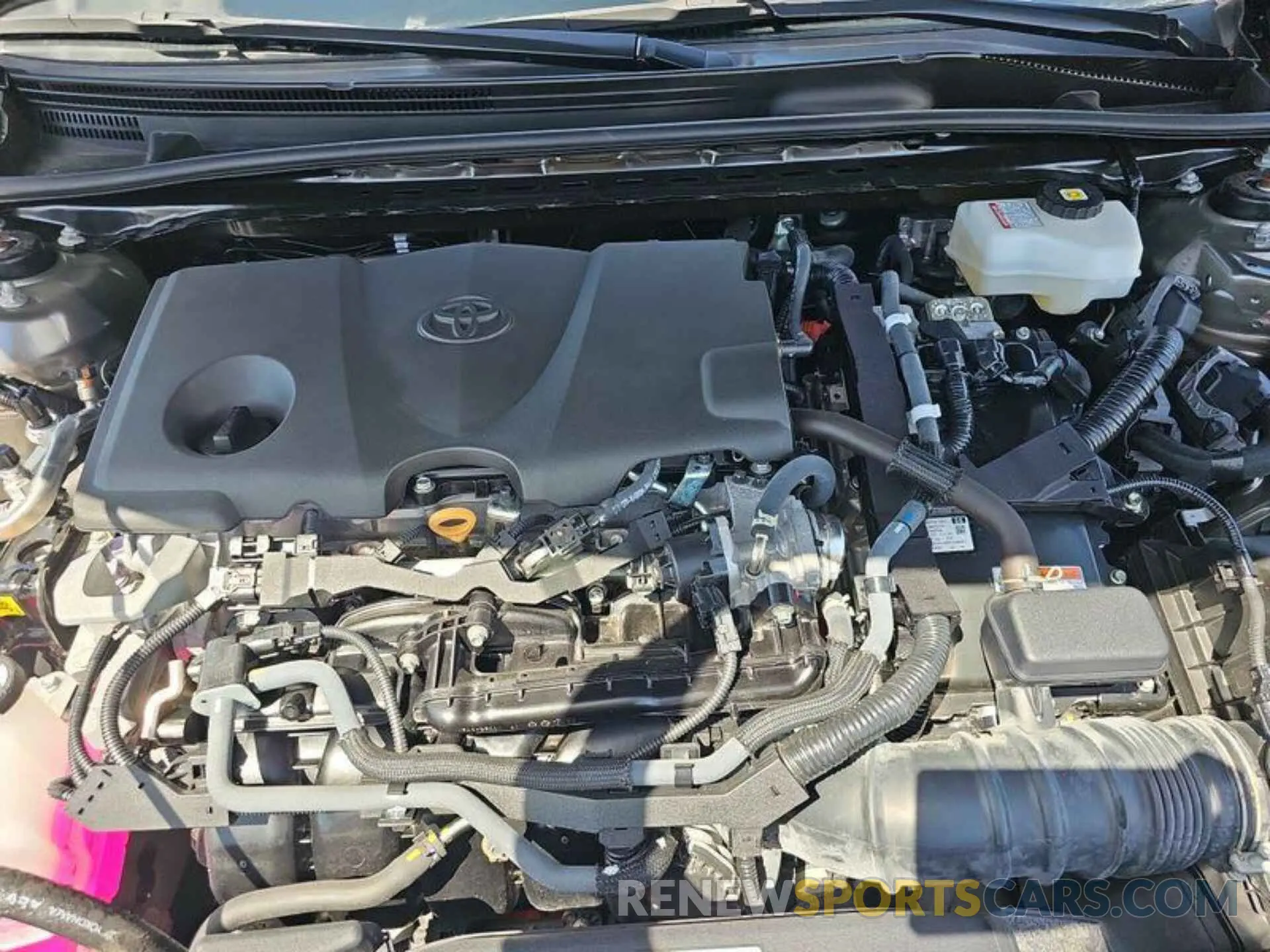 14 Photograph of a damaged car 4T1C31AK0PU611185 TOYOTA CAMRY 2023