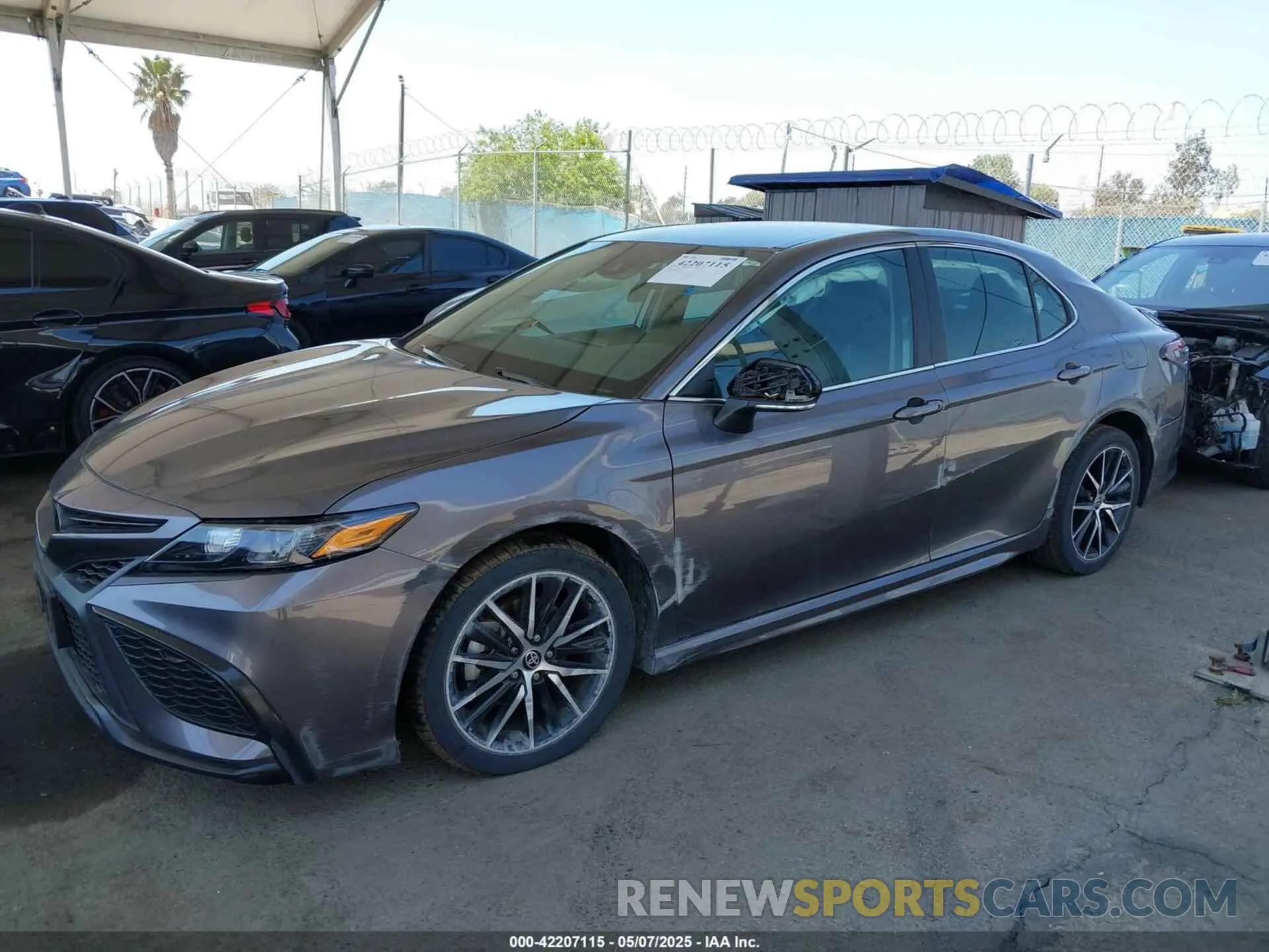14 Photograph of a damaged car 4T1G11AK4PU747116 TOYOTA CAMRY 2023