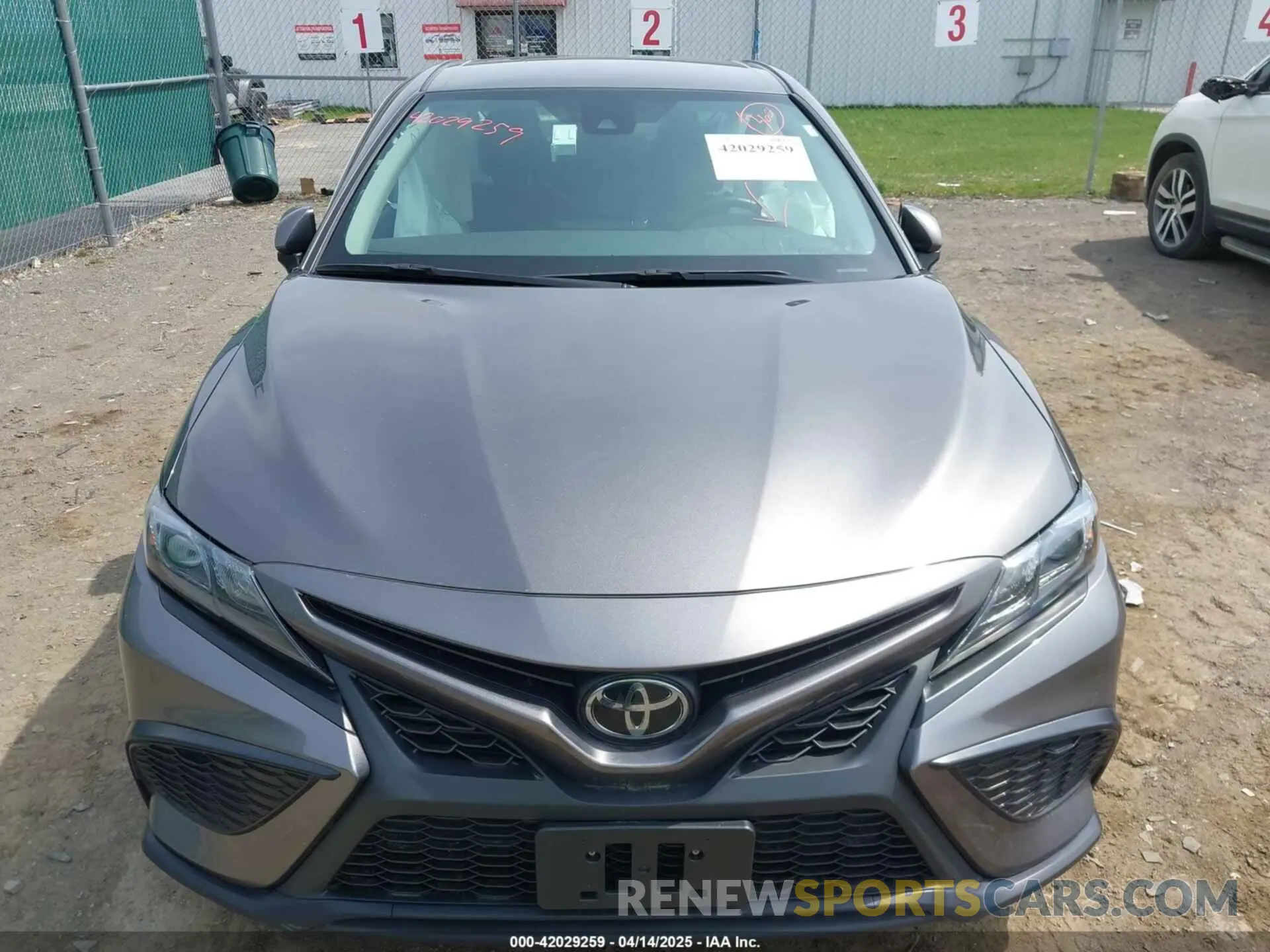 12 Photograph of a damaged car 4T1G11AK6PU829882 TOYOTA CAMRY 2023