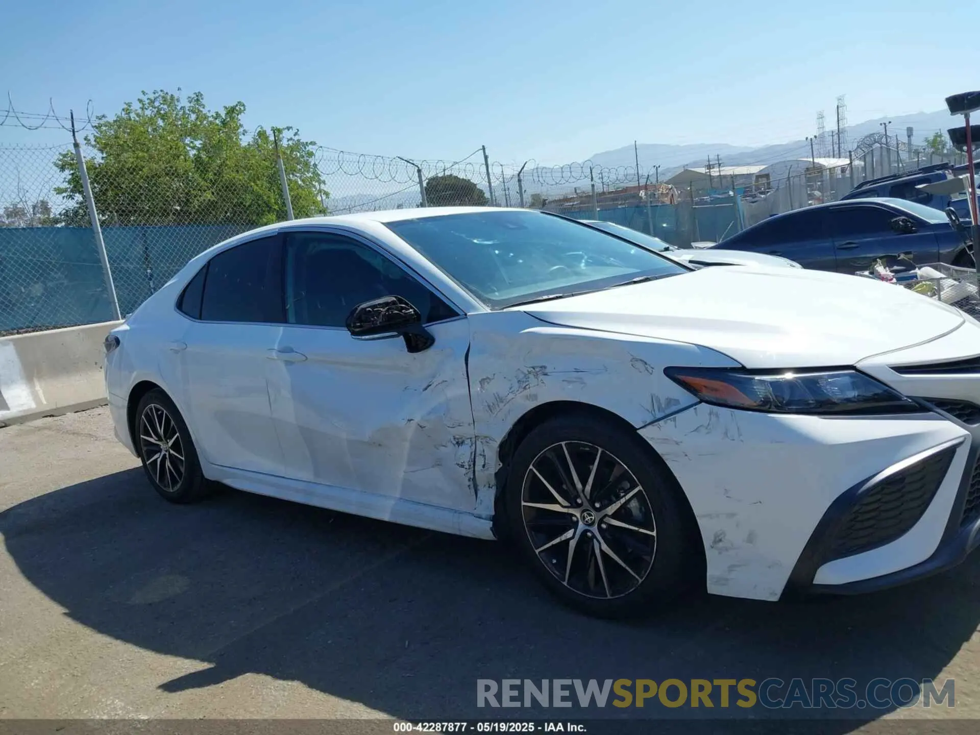 12 Photograph of a damaged car 4T1G31AK0PU616419 TOYOTA CAMRY 2023