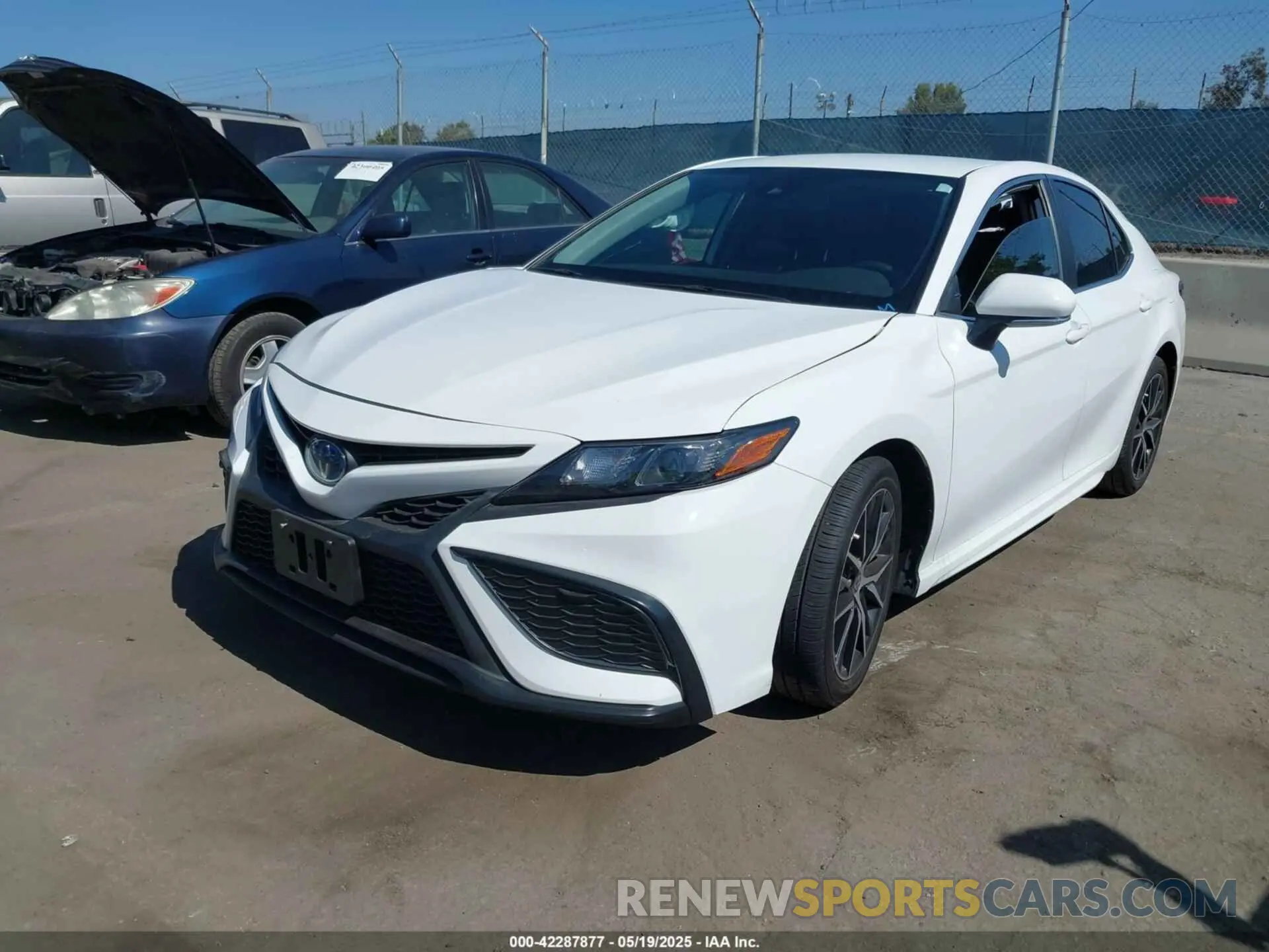 2 Photograph of a damaged car 4T1G31AK0PU616419 TOYOTA CAMRY 2023