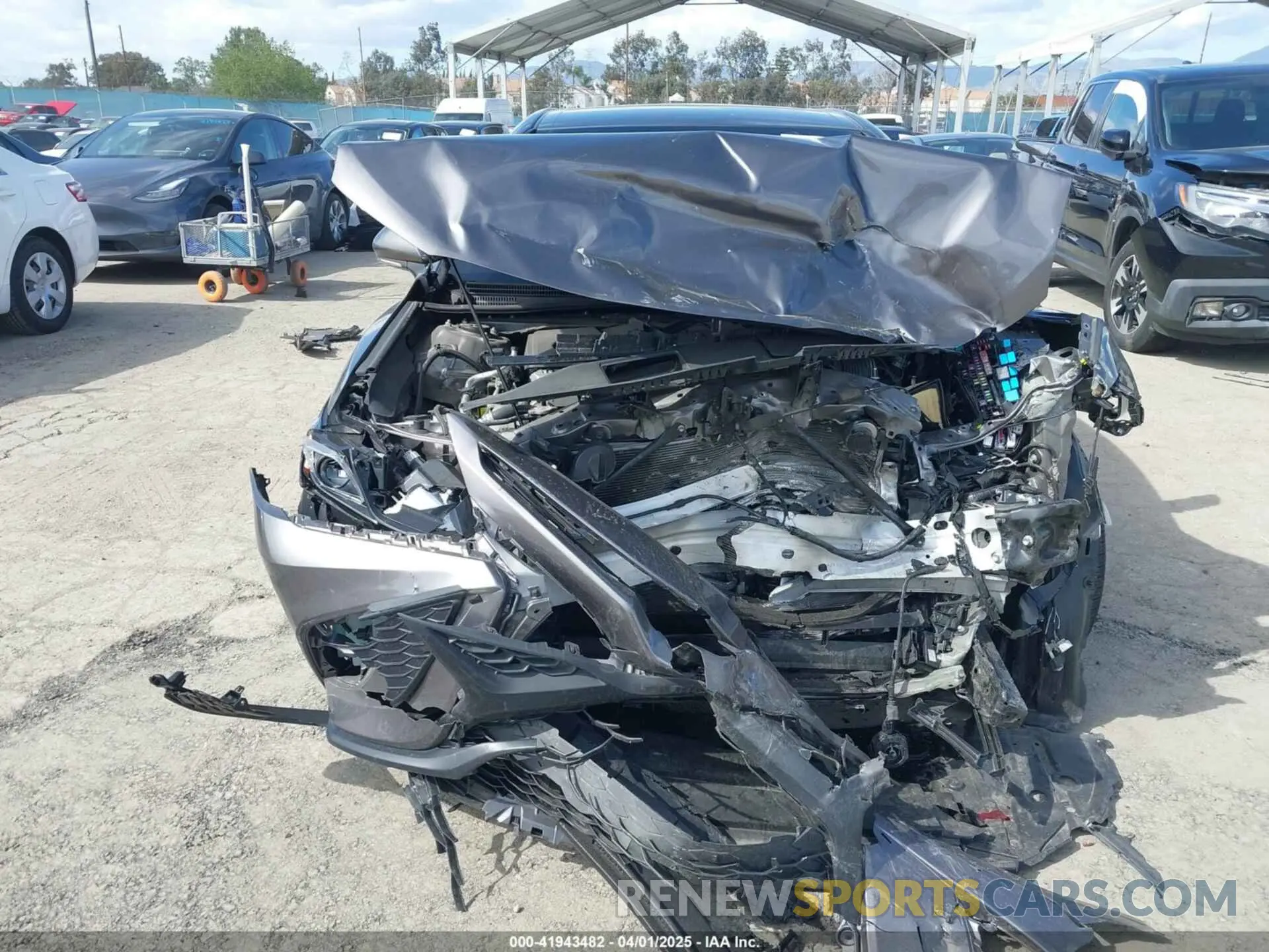 12 Photograph of a damaged car 4T1G31AK2PU608368 TOYOTA CAMRY 2023