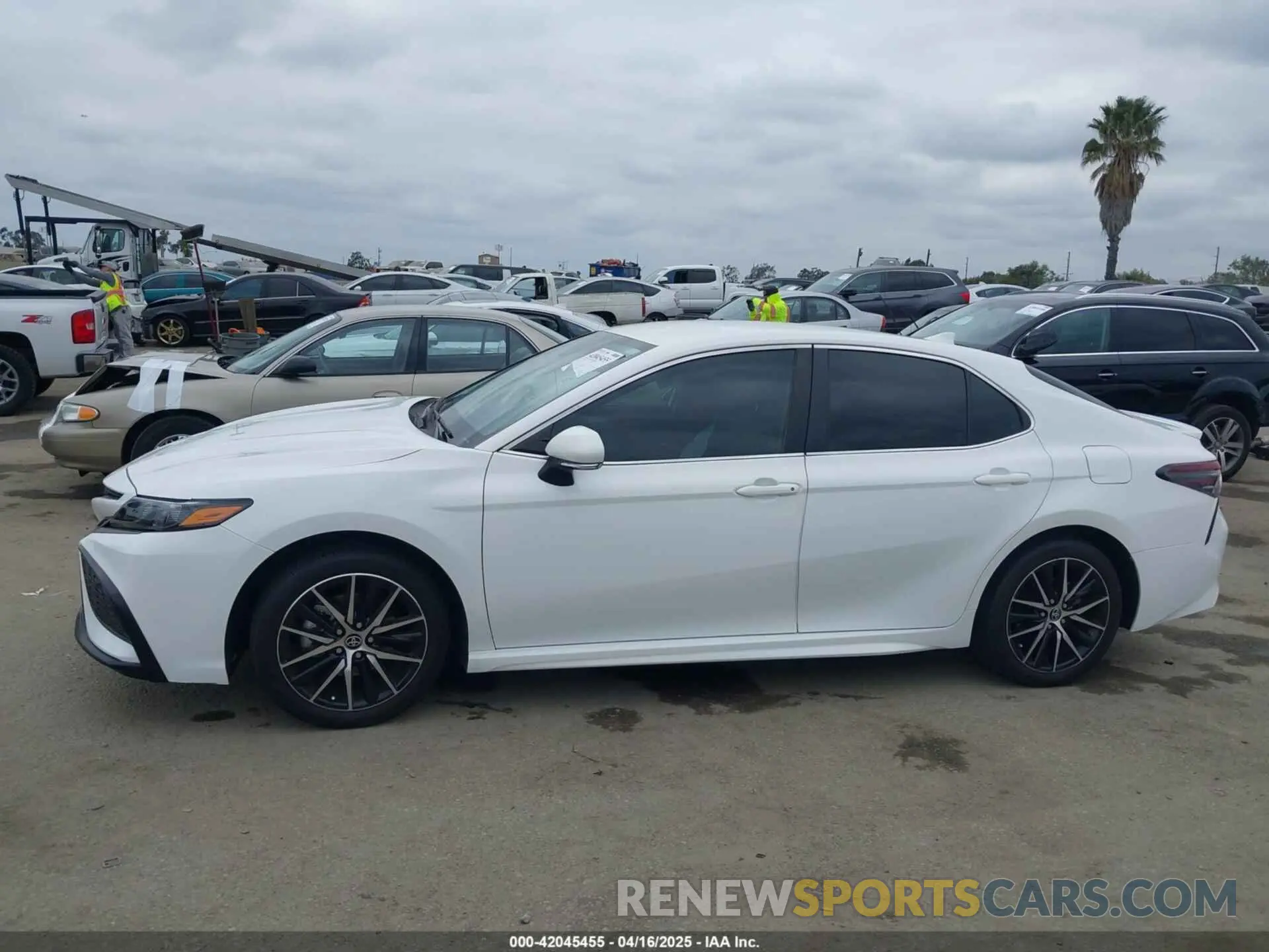 14 Photograph of a damaged car 4T1T11AK4PU777487 TOYOTA CAMRY 2023