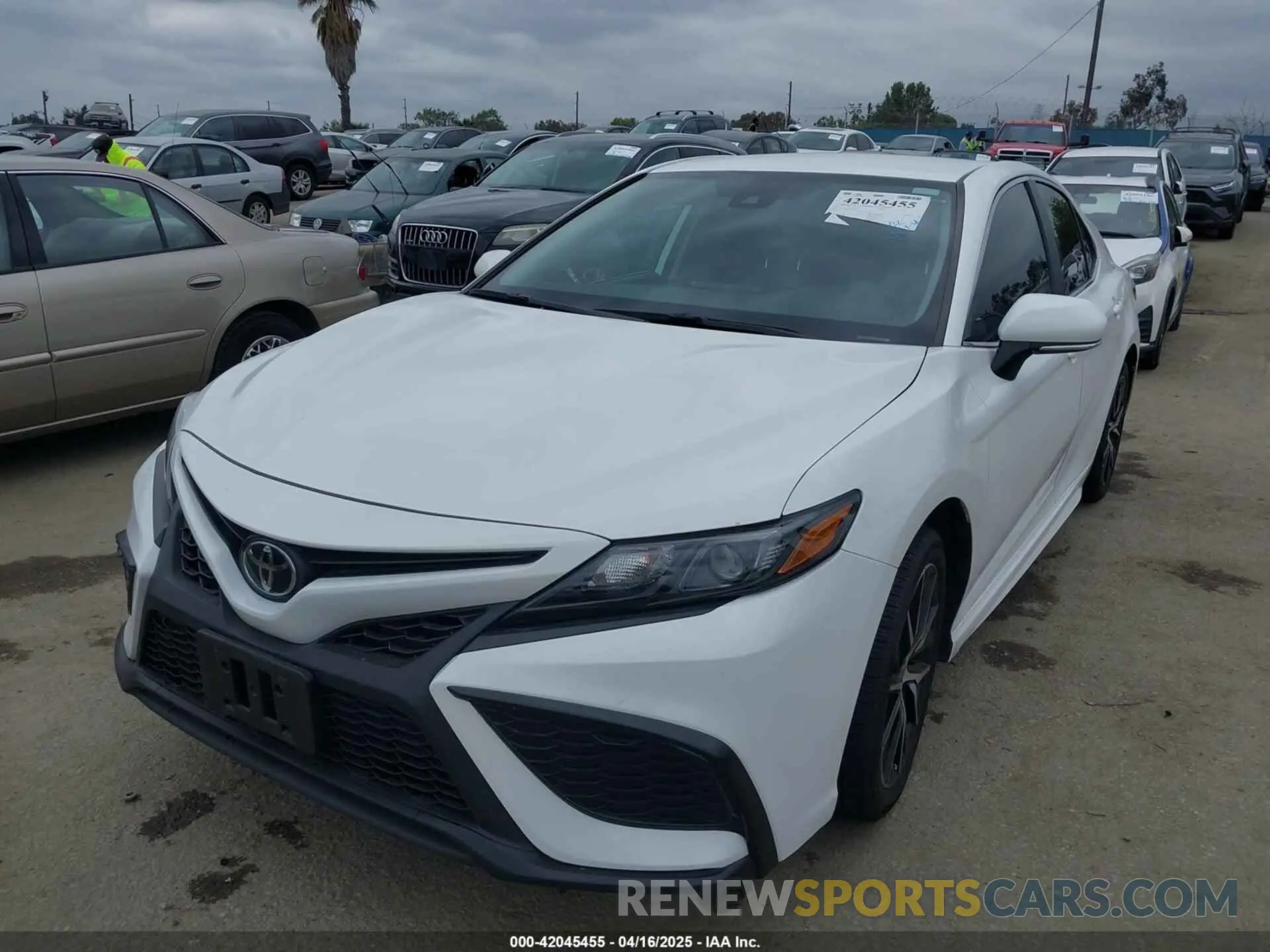2 Photograph of a damaged car 4T1T11AK4PU777487 TOYOTA CAMRY 2023