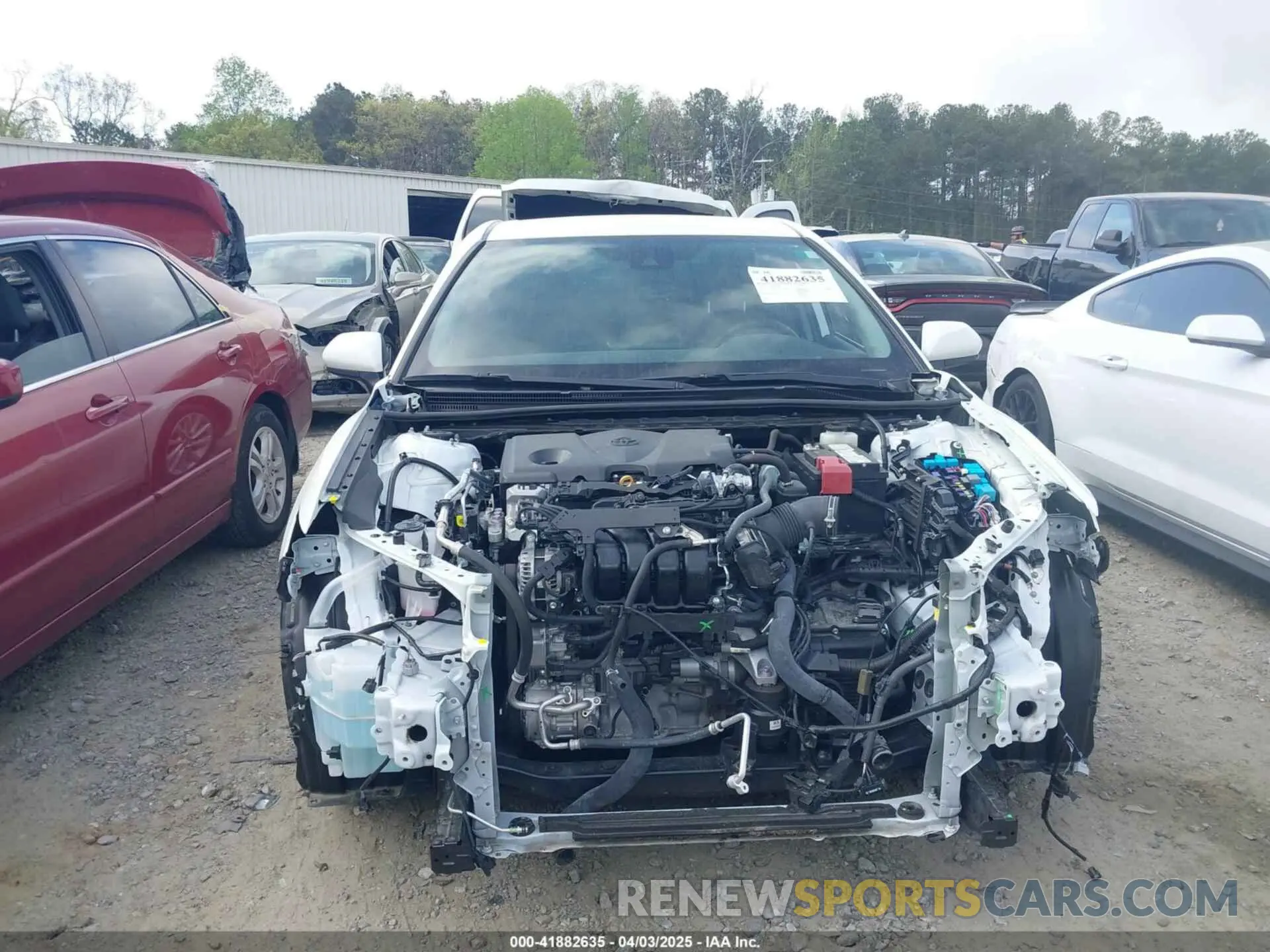 12 Photograph of a damaged car 4T1C11AK3RU203921 TOYOTA CAMRY 2024