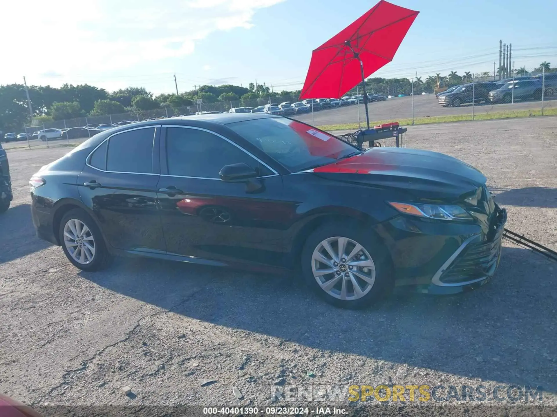 13 Photograph of a damaged car 4T1C11AK9RU222943 TOYOTA CAMRY 2024