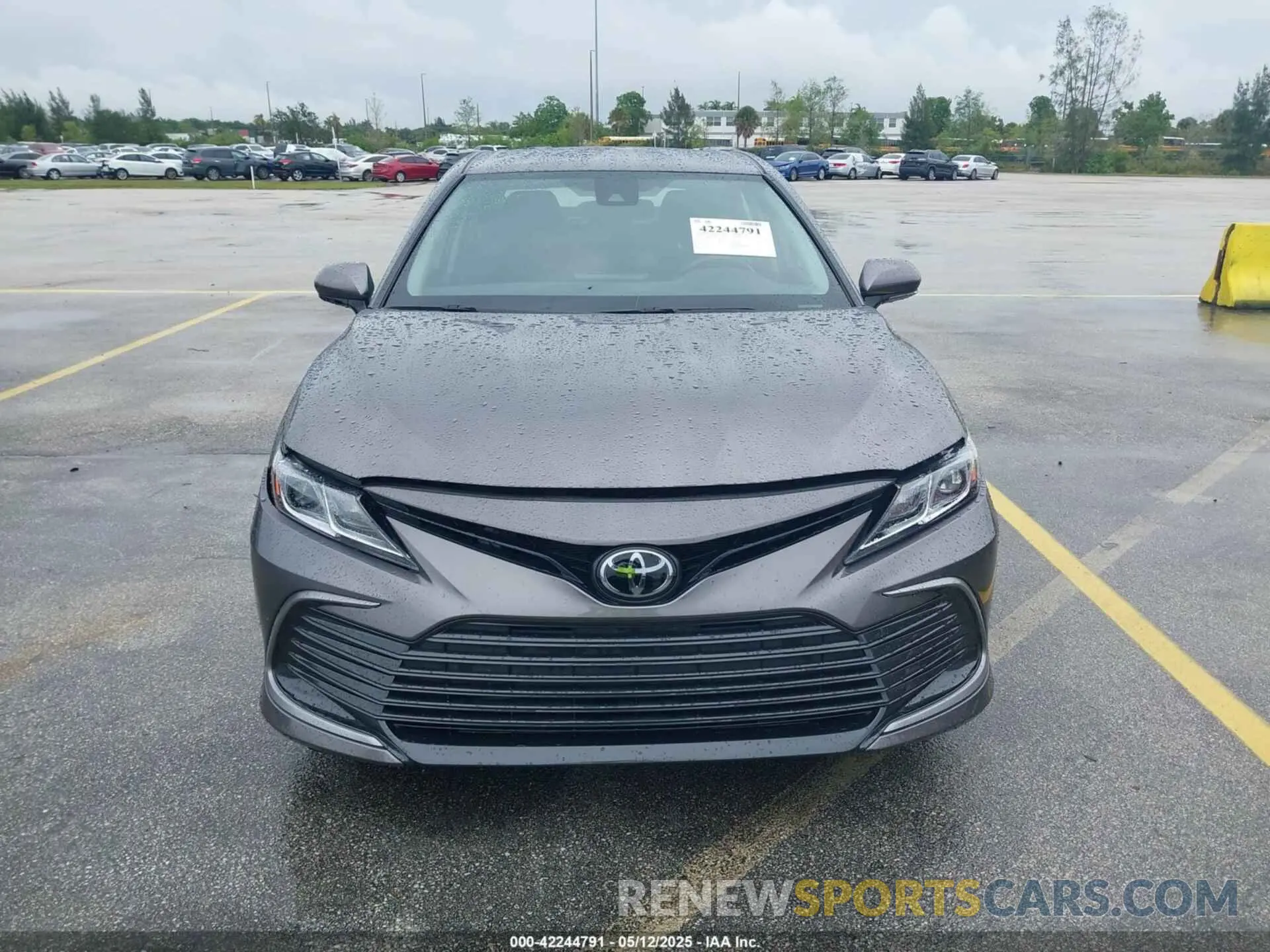 12 Photograph of a damaged car 4T1C11BK4RU129276 TOYOTA CAMRY 2024
