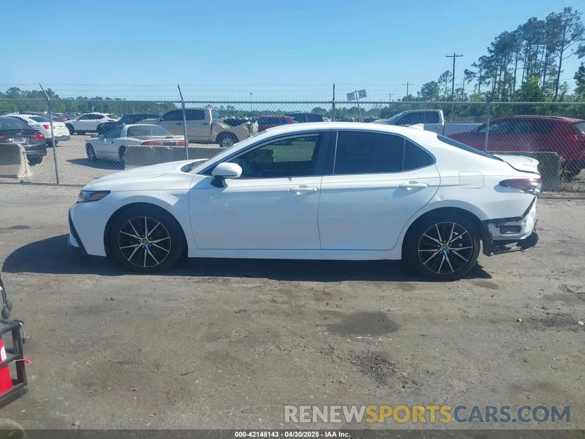 14 Photograph of a damaged car 4T1G11AK1RU233436 TOYOTA CAMRY 2024