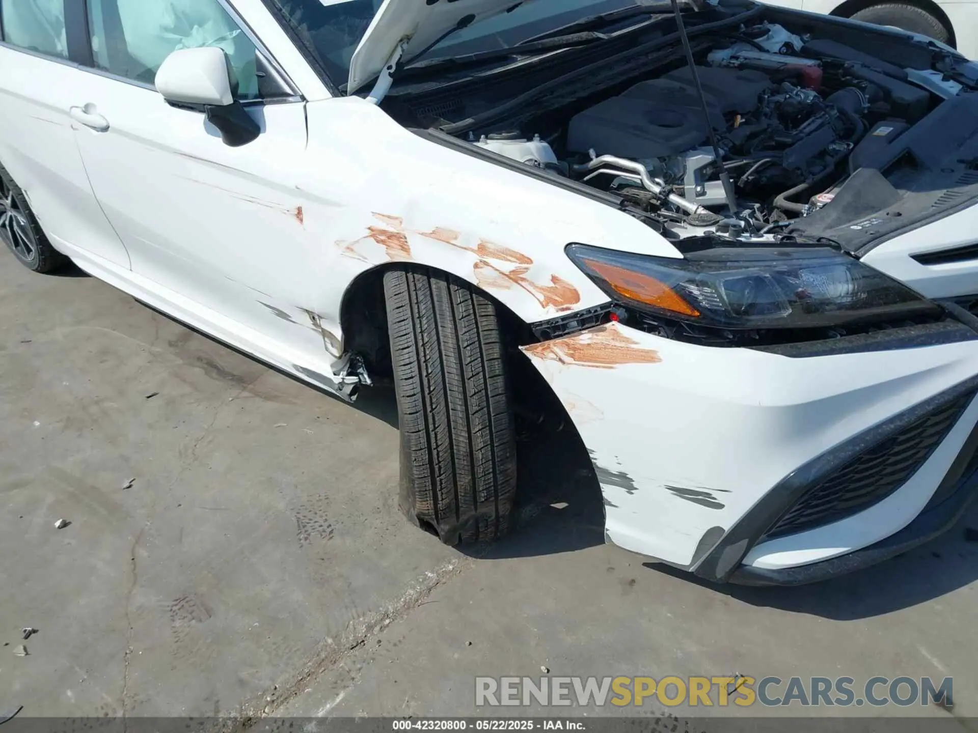 6 Photograph of a damaged car 4T1G11AK4RU909300 TOYOTA CAMRY 2024