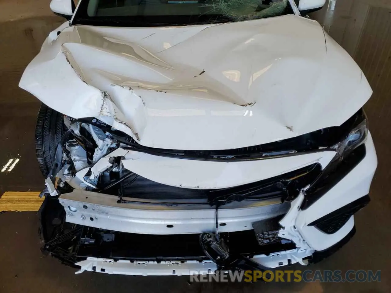 11 Photograph of a damaged car 4T1G11AK8RU903404 TOYOTA CAMRY 2024