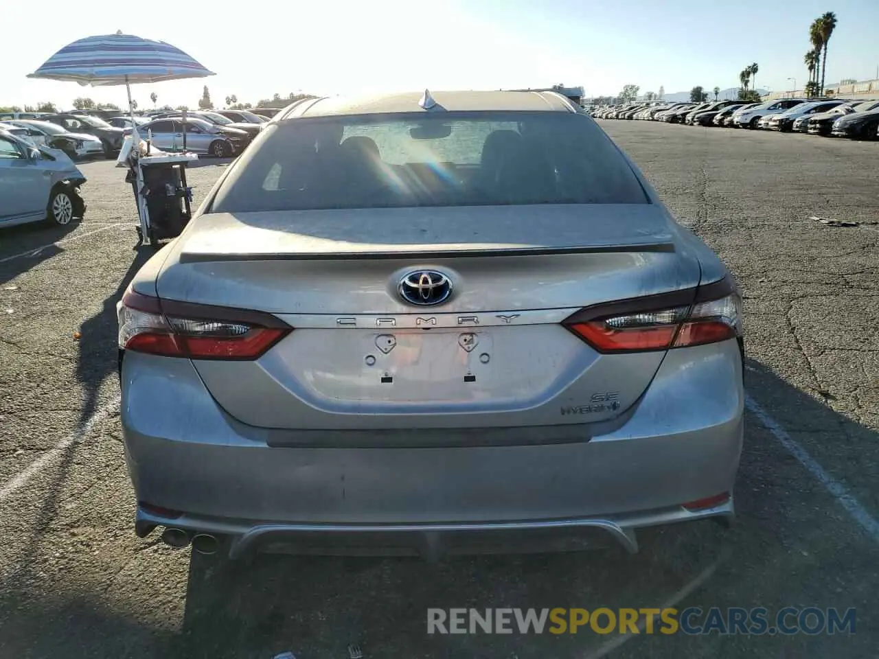 6 Photograph of a damaged car 4T1G31AK2RU064568 TOYOTA CAMRY 2024