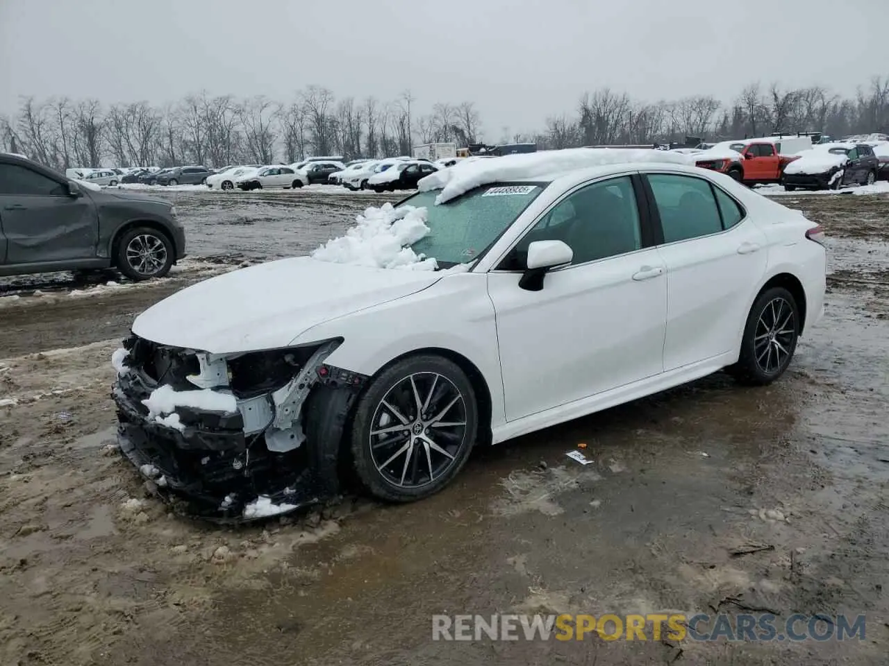 1 Photograph of a damaged car 4T1G31AK3RU620855 TOYOTA CAMRY 2024